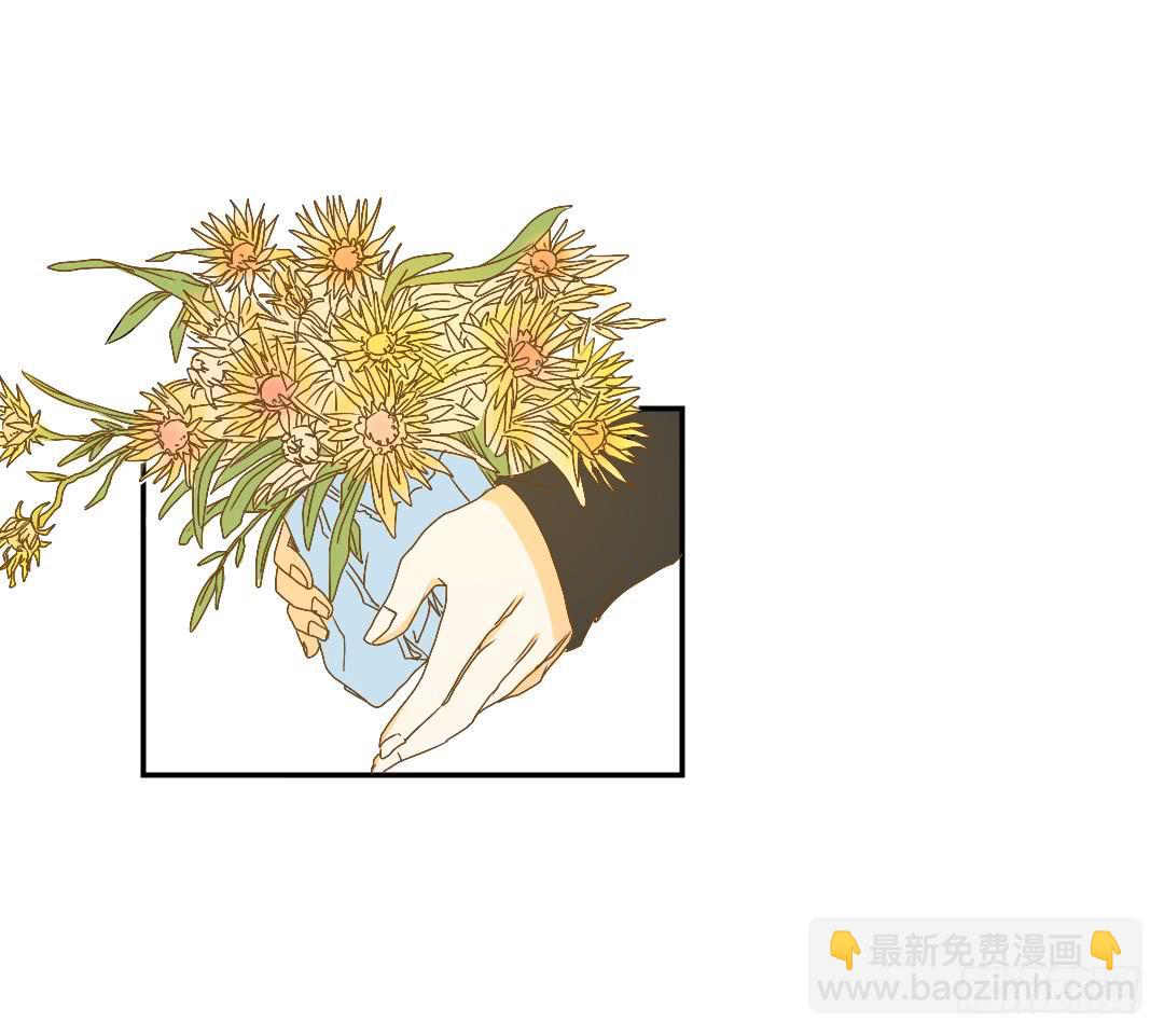 《触不可及的世界》解风臣的执念 第3页