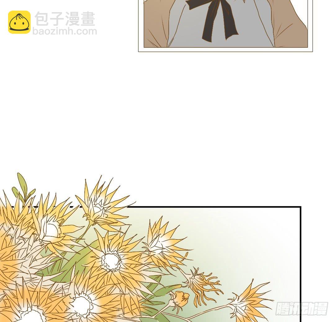 《触不可及的世界》解风臣的执念 第41页