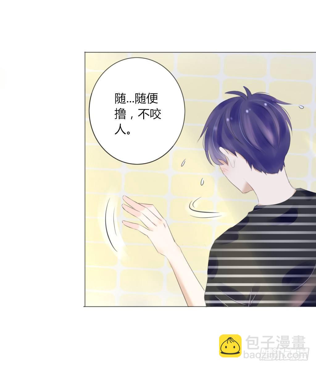《校霸，我们不合适》散步（2） 第17页