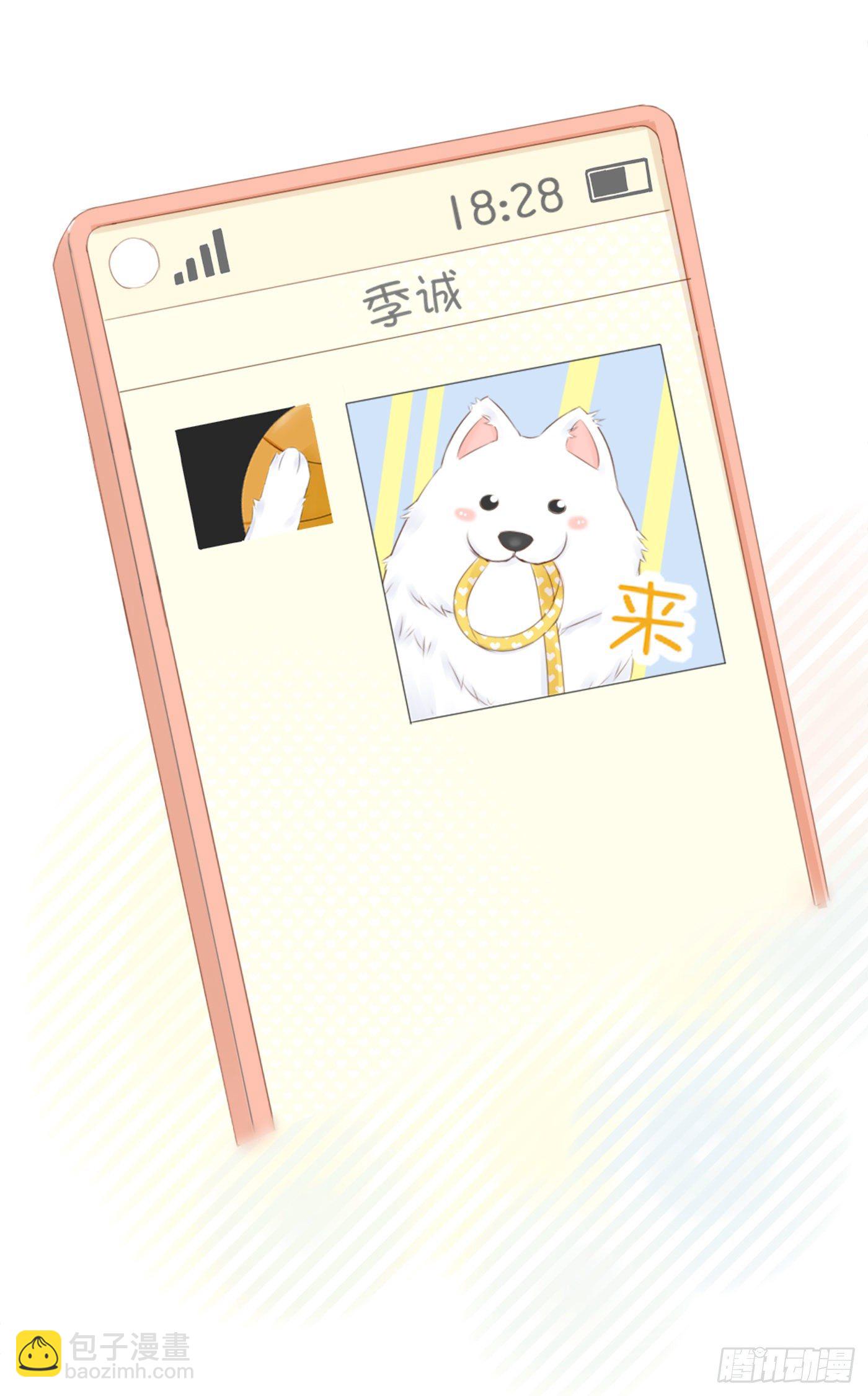 《校霸，我们不合适》养狗千日 第7页