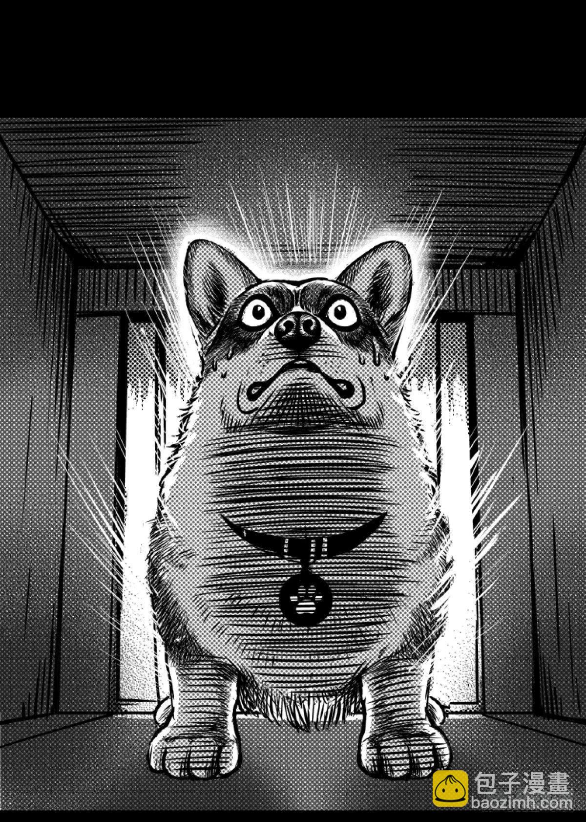 《夜行犭》柯基公交车上抓色狼 第19页