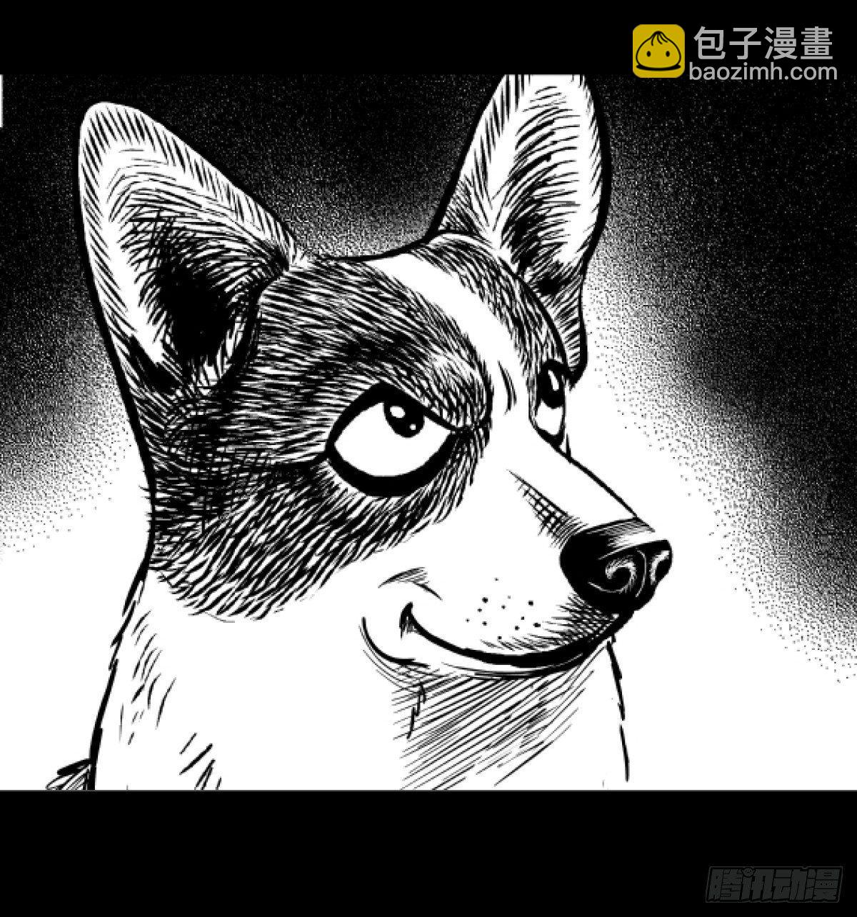 《夜行犭》柯基公交车上抓色狼 第47页