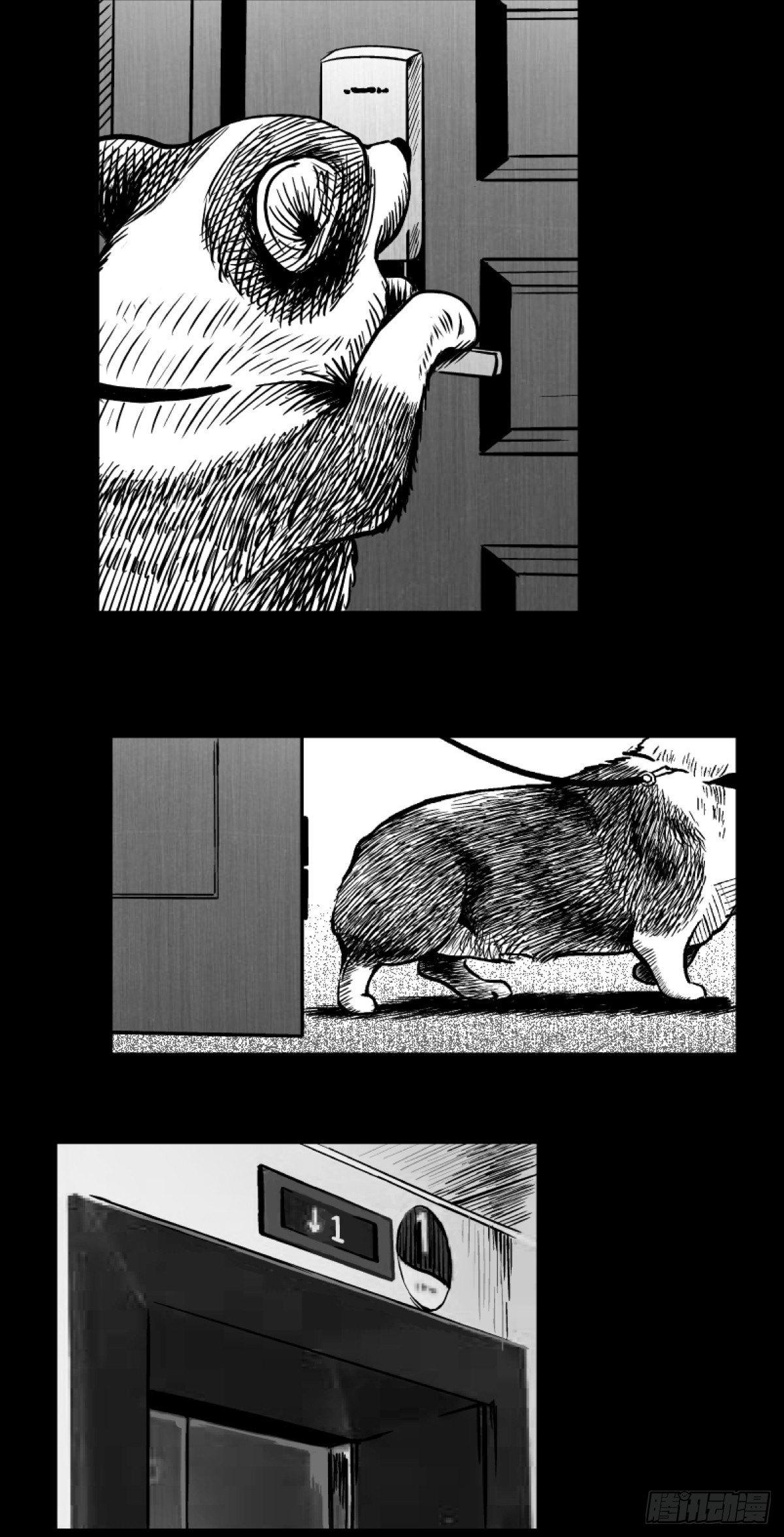 《夜行犭》柯基公交车上抓色狼 第3页
