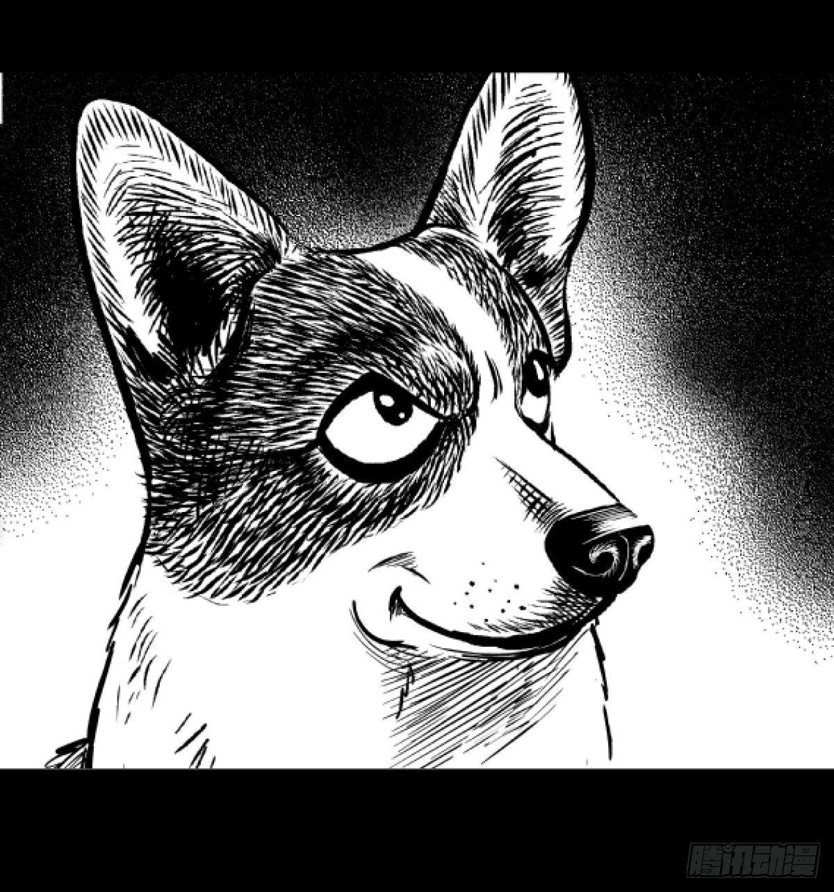 《夜行犭》柯基公交车上抓色狼 第47页
