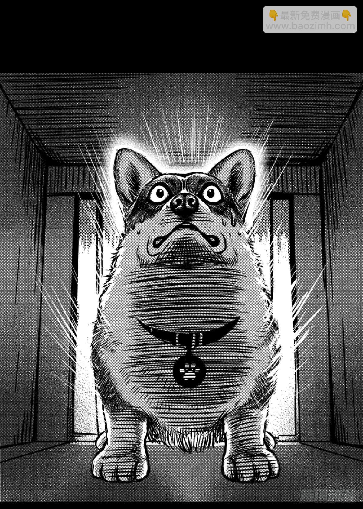 《夜行犭》柯基公交车上抓色狼 第19页