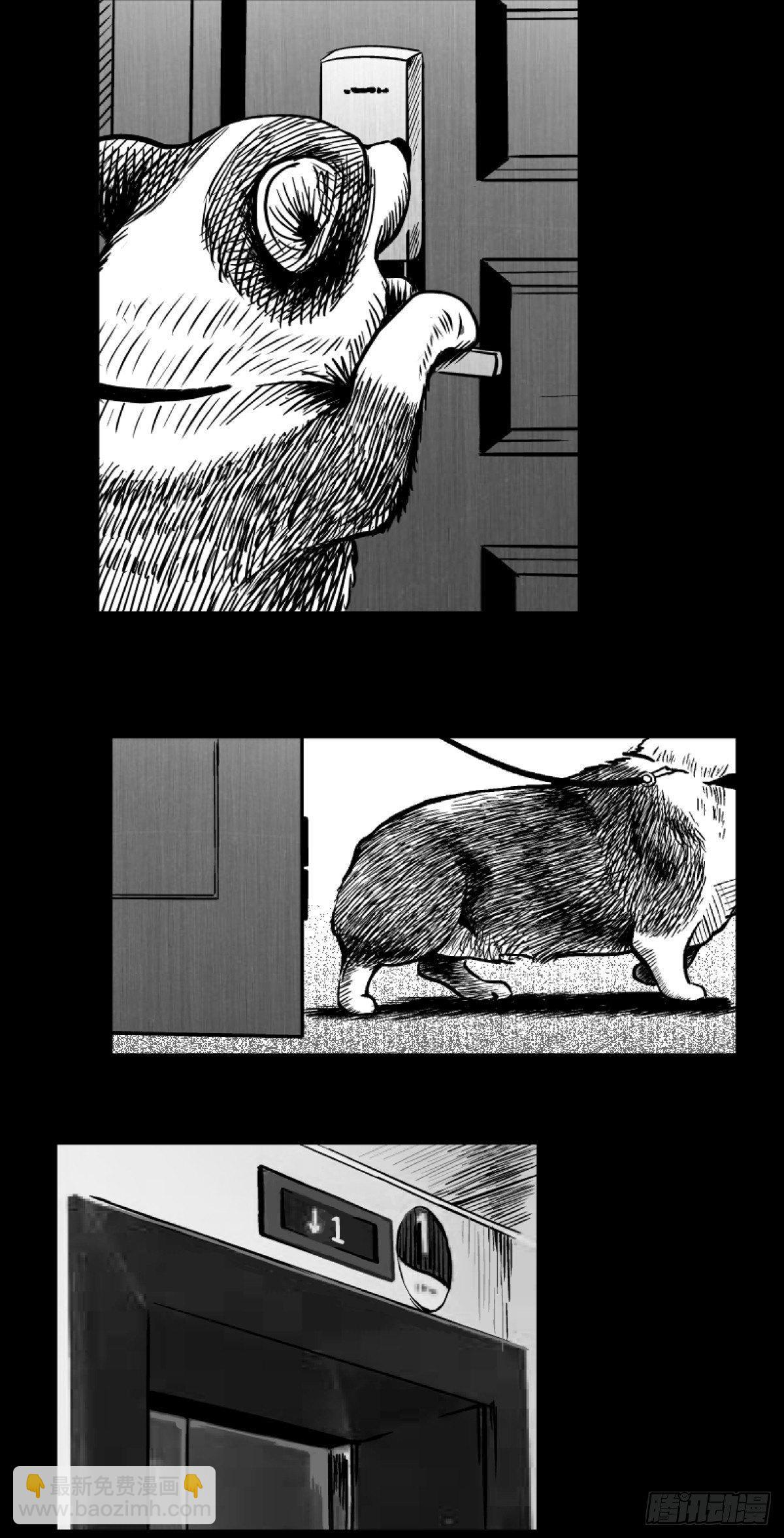 《夜行犭》柯基公交车上抓色狼 第3页