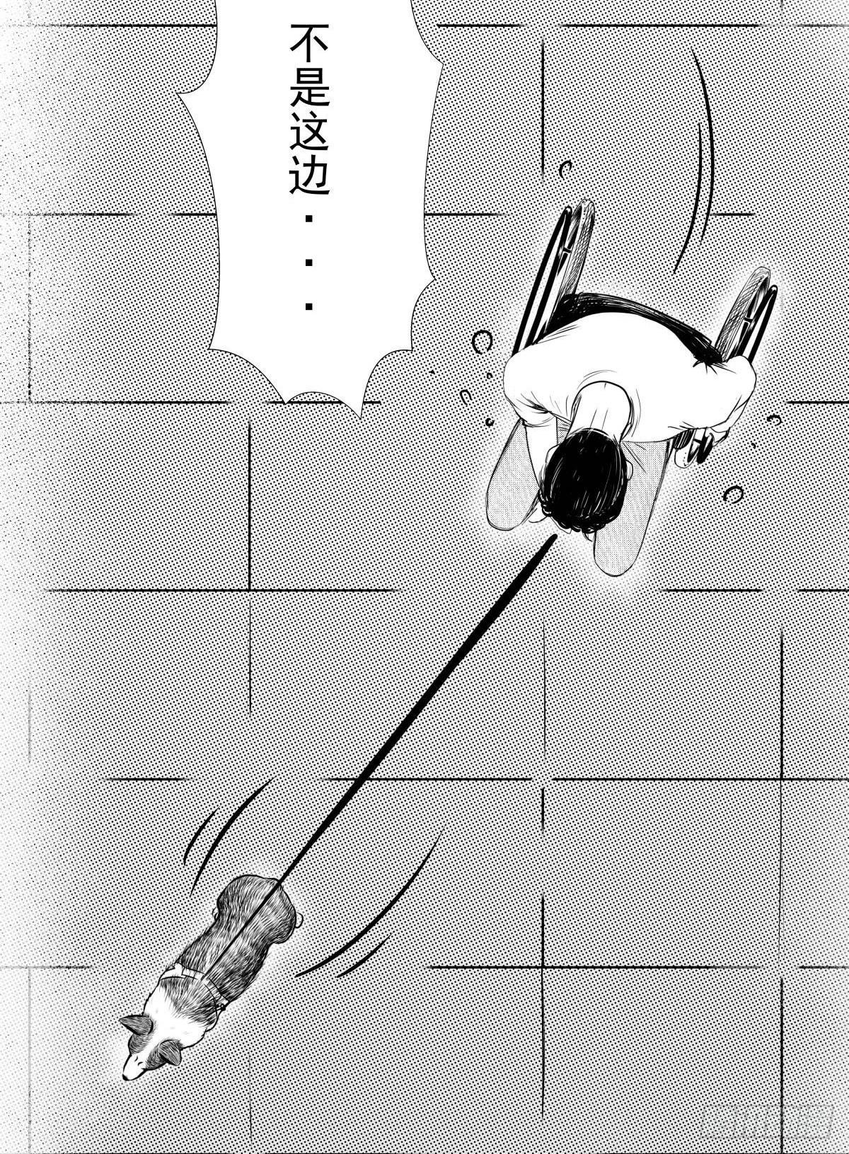 《夜行犭》被女司机拦腰抱起的就他一个 第25页