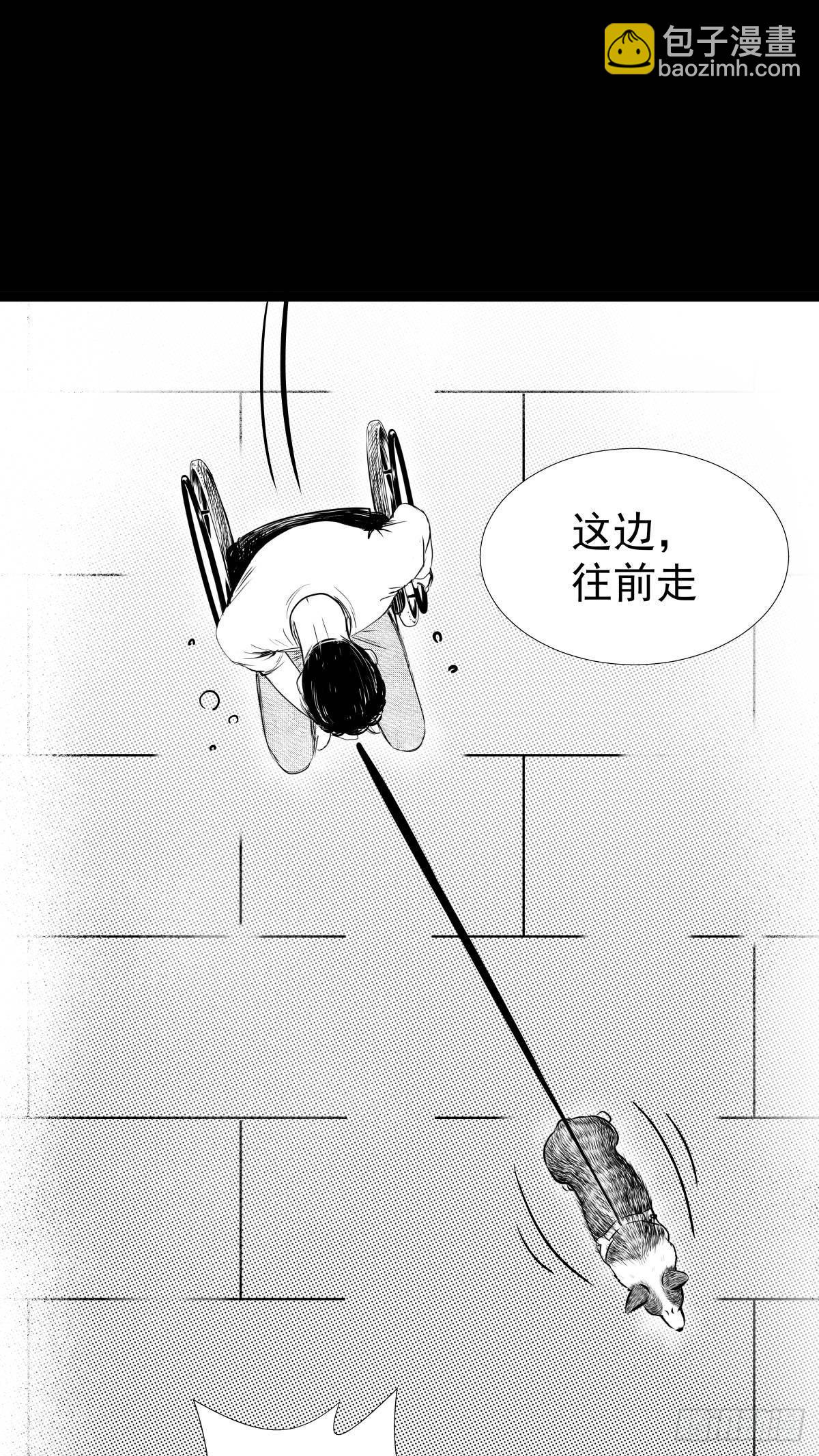 《夜行犭》被女司机拦腰抱起的就他一个 第24页