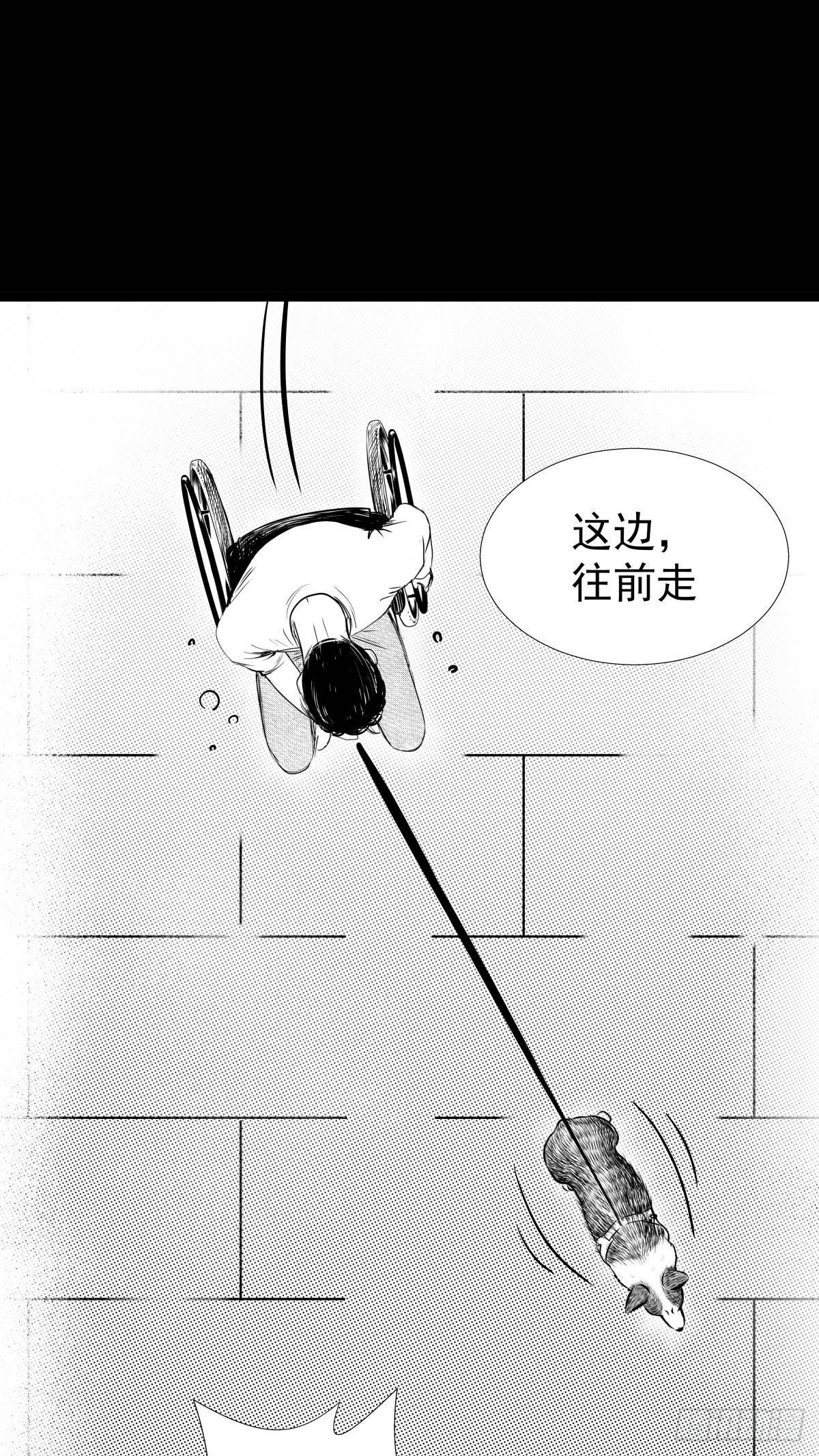 《夜行犭》被女司机拦腰抱起的就他一个 第24页