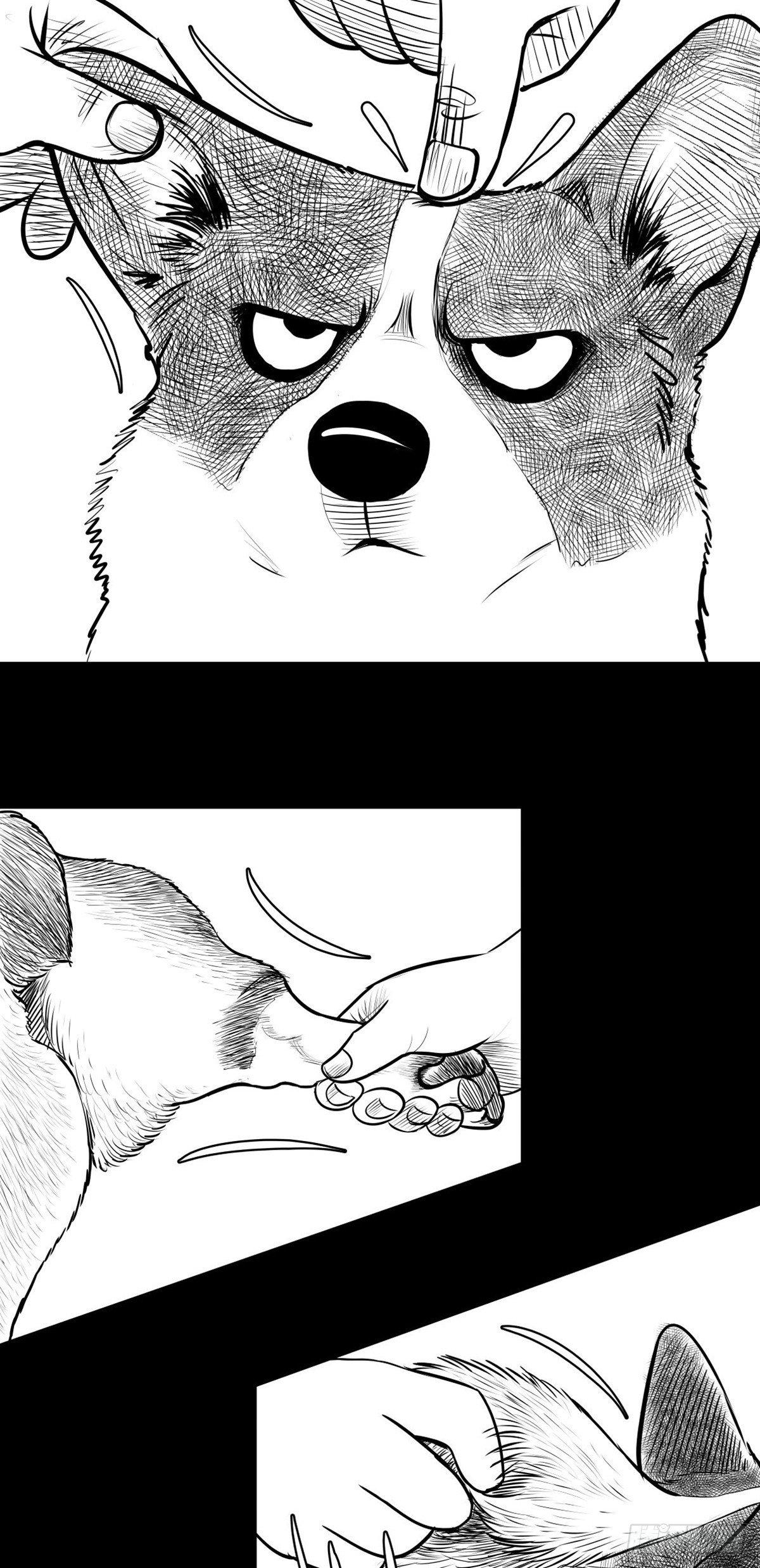 《夜行犭》终于等到你 第19页