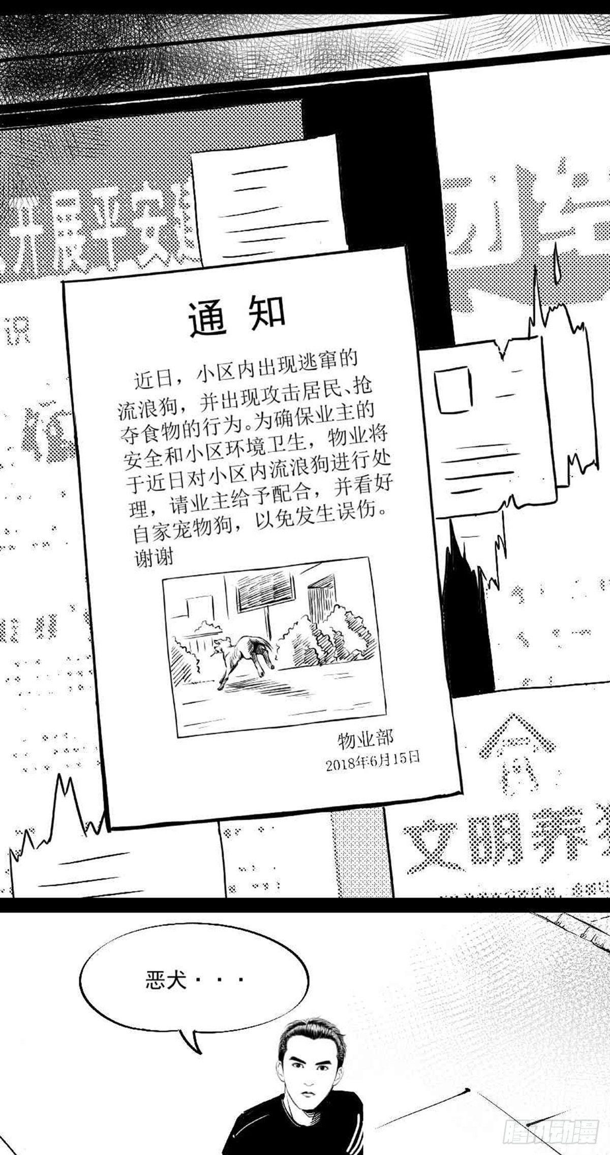 《夜行犭》为抢根骨头我坐轮椅追了四条街 第1页