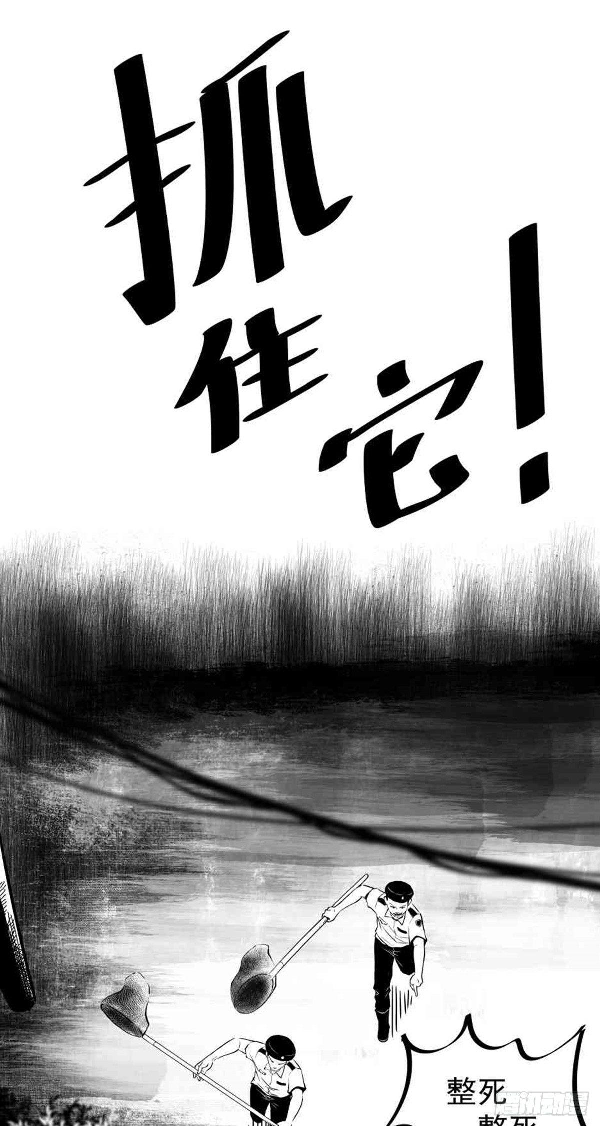 《夜行犭》为抢根骨头我坐轮椅追了四条街 第28页