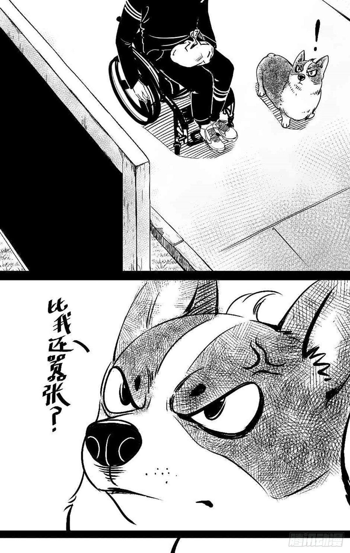 《夜行犭》为抢根骨头我坐轮椅追了四条街 第2页