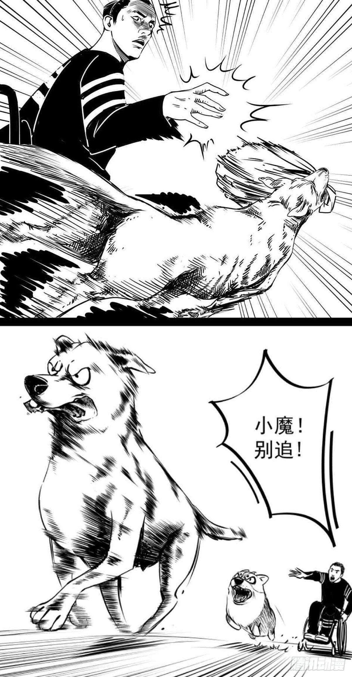 《夜行犭》为抢根骨头我坐轮椅追了四条街 第33页