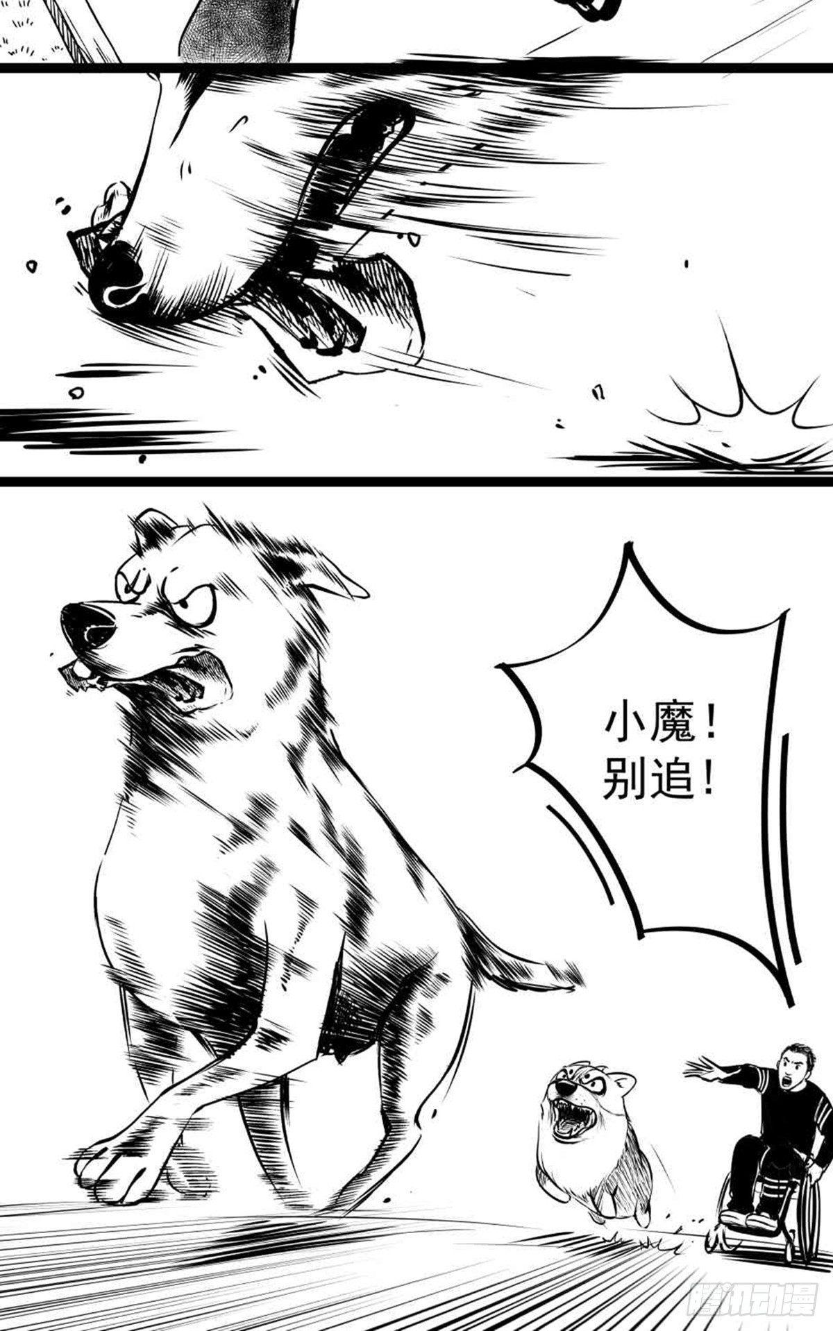 《夜行犭》为抢根骨头我坐轮椅追了四条街 第5页
