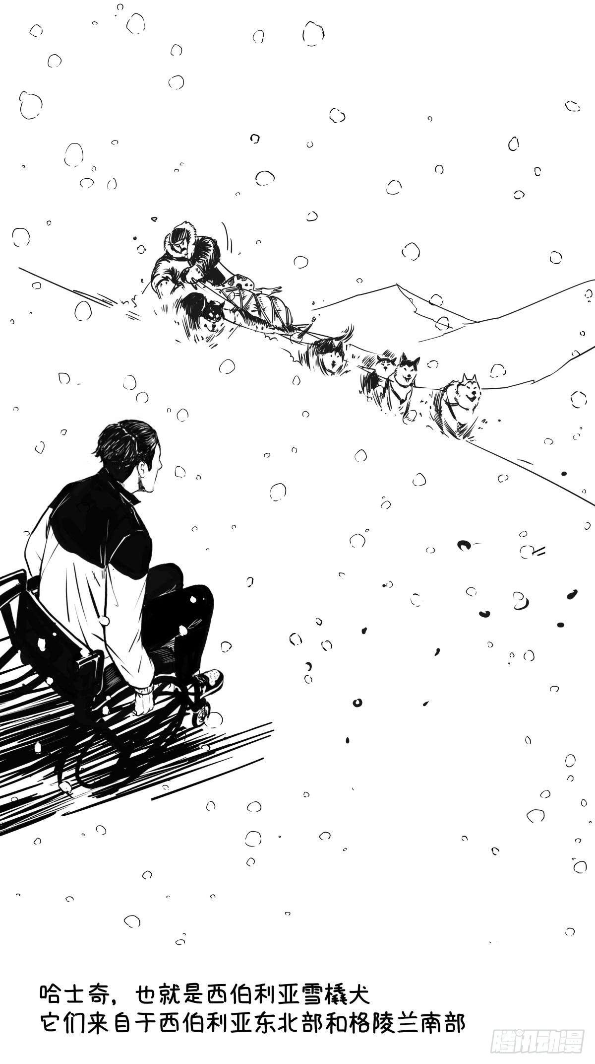 《夜行犭》家里有矿啊，敢养哈士奇？ 第37页