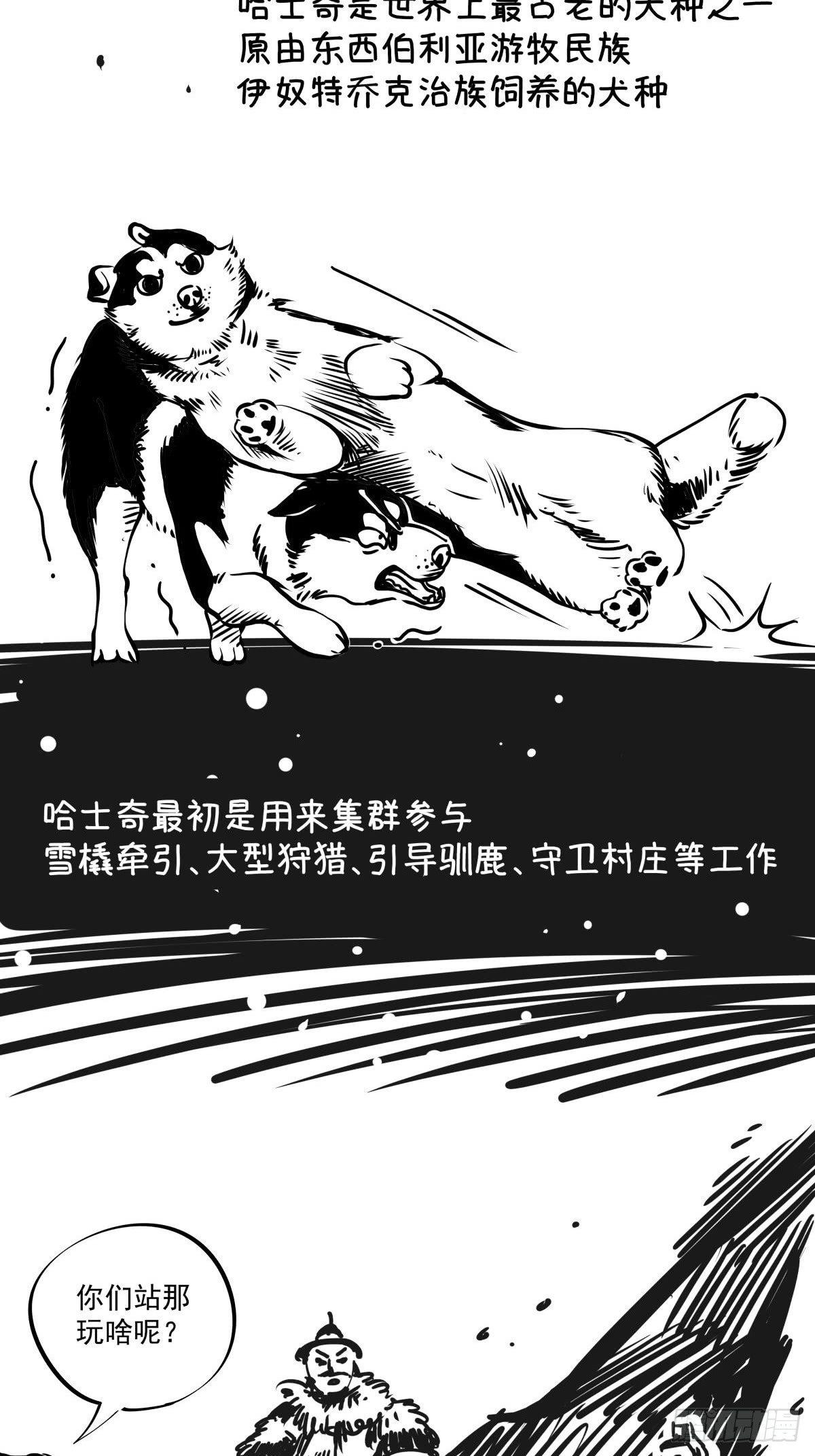 《夜行犭》家里有矿啊，敢养哈士奇？ 第39页