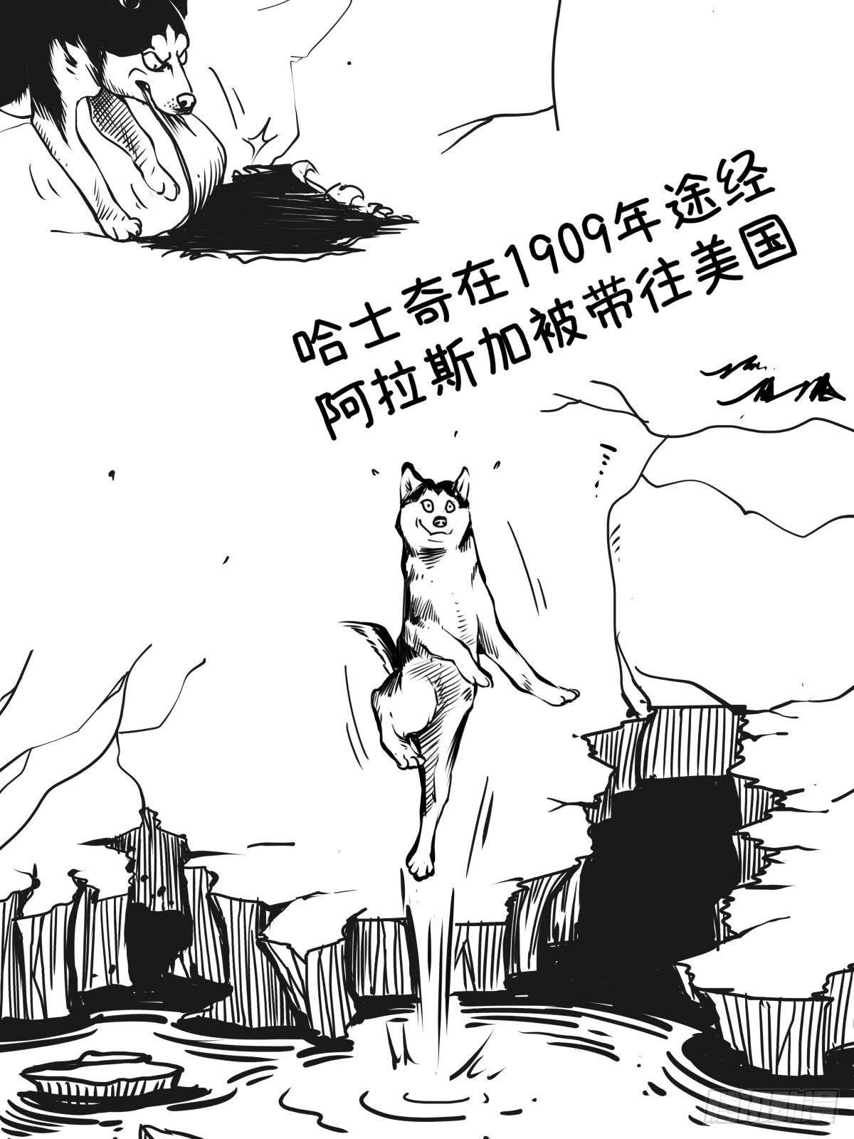 《夜行犭》家里有矿啊，敢养哈士奇？ 第42页