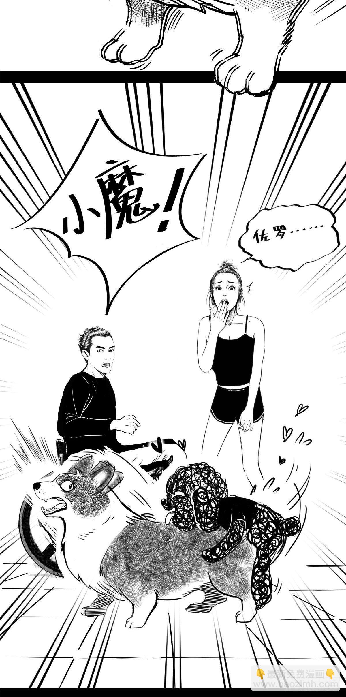《夜行犭》把根留住！ 第24页