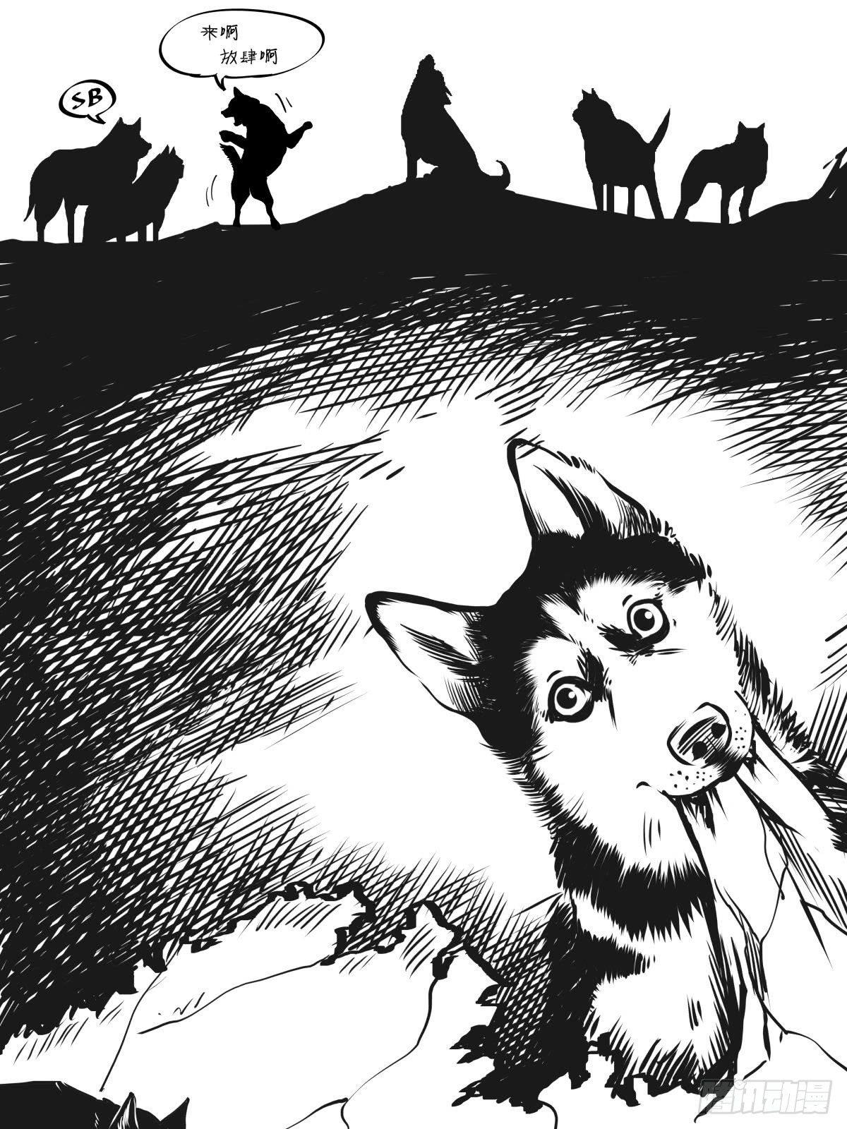 《夜行犭》家里有矿啊，敢养哈士奇？ 第41页