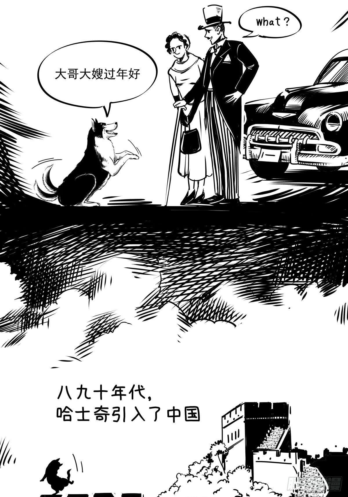 《夜行犭》家里有矿啊，敢养哈士奇？ 第46页
