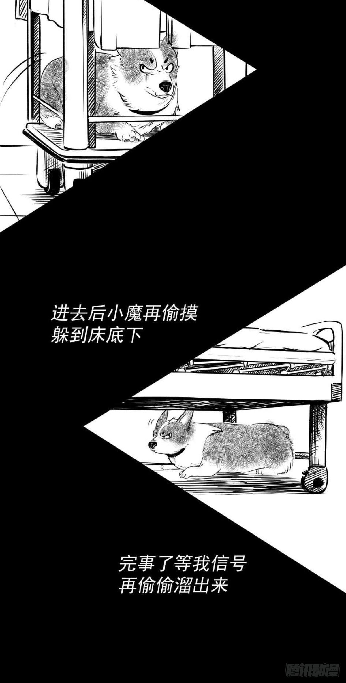 《夜行犭》枕边人的体香 第33页