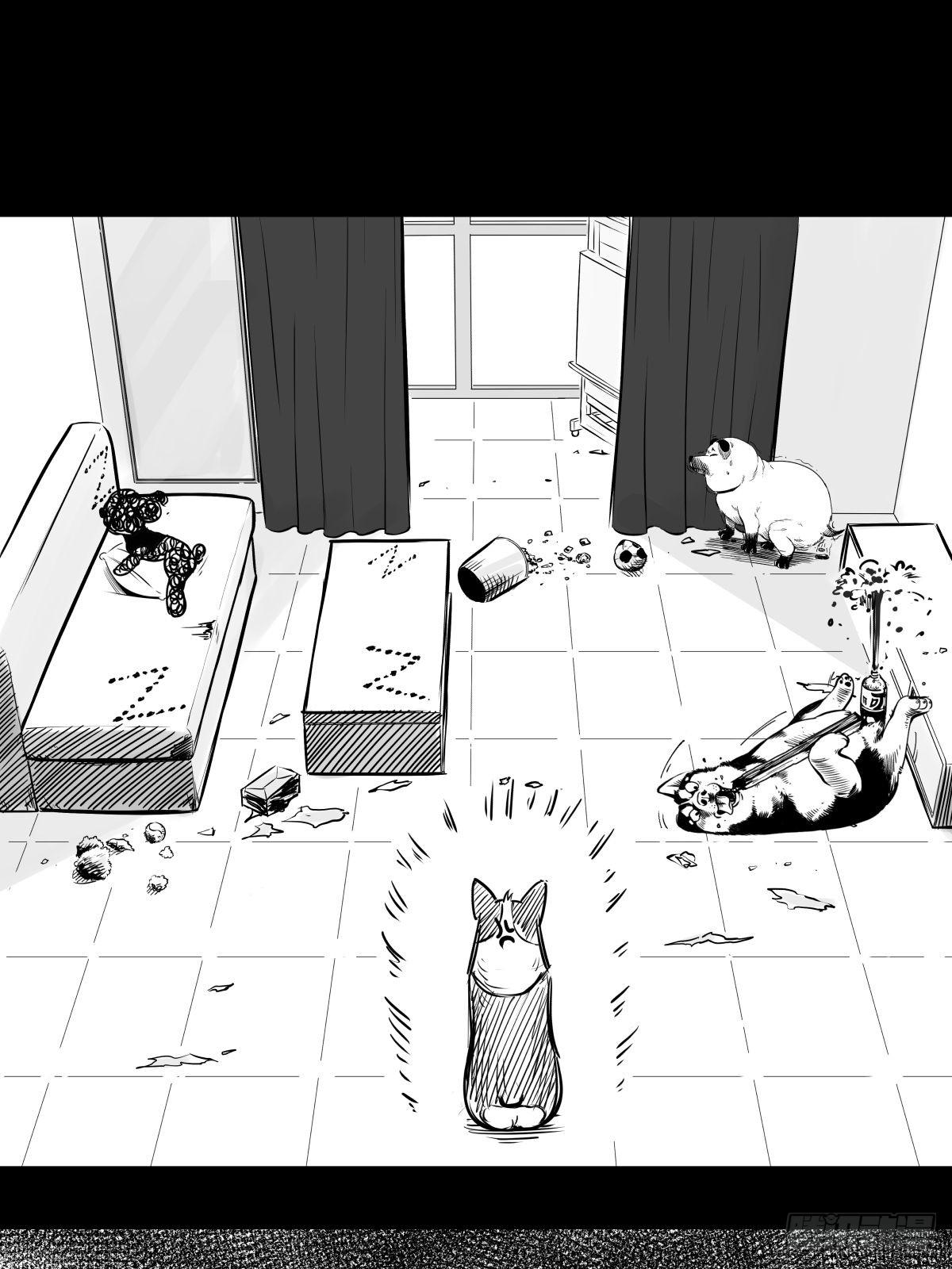 《夜行犭》最后的耍猴人 第13页