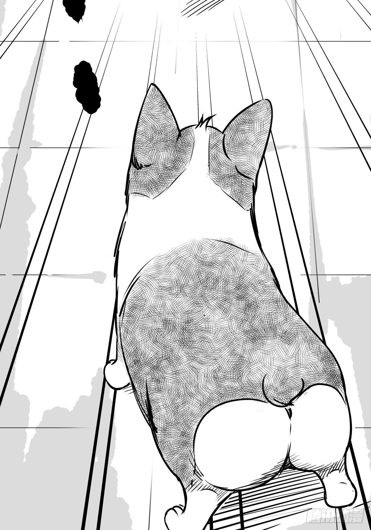 《夜行犭》最后的耍猴人 第25页