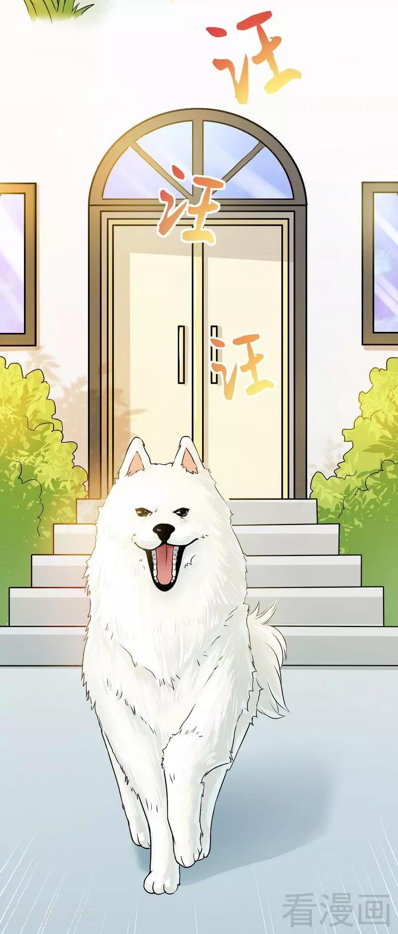 《恶魔校草》第5话 双胞胎？ 第11页