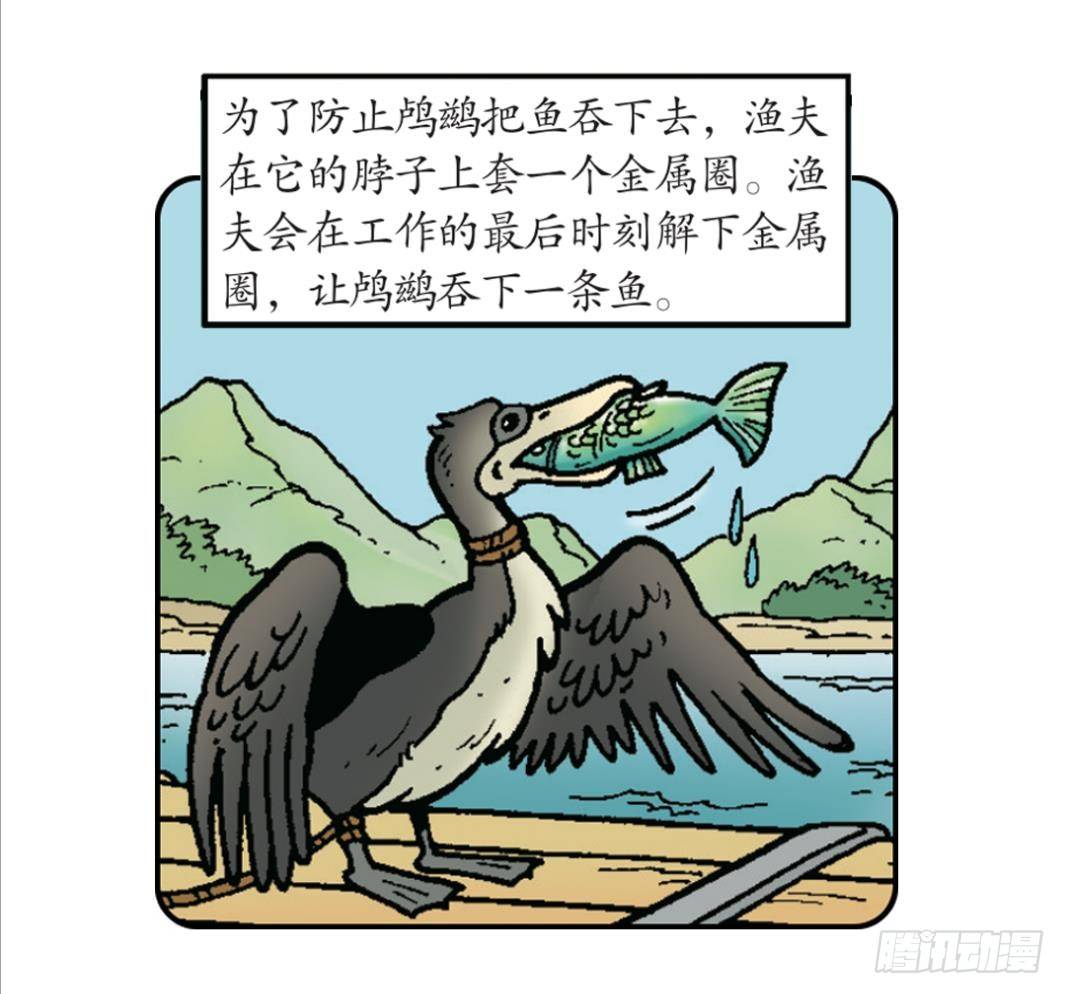 《苏苏和维维历险记》小龙卡迪 第8页