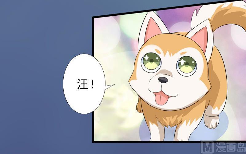 《完美替身重生娇妻宠上天》第21话 你才是我的恋人 第37页