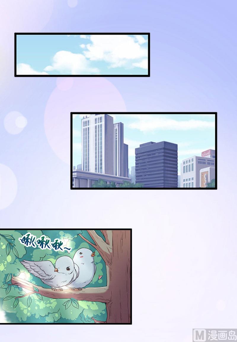 《完美替身重生娇妻宠上天》第26话 绝不回避 第3页