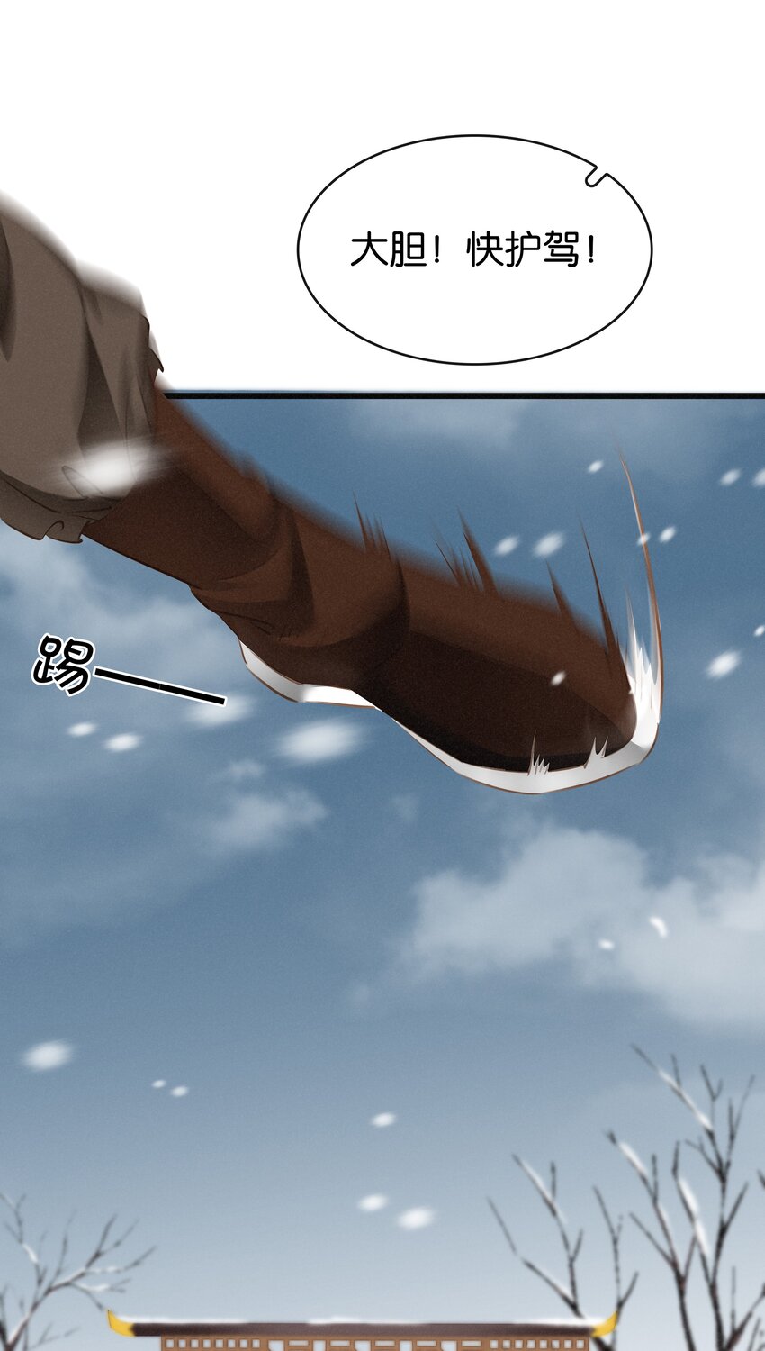《凰妃倾天下》001 重生归来 第17页