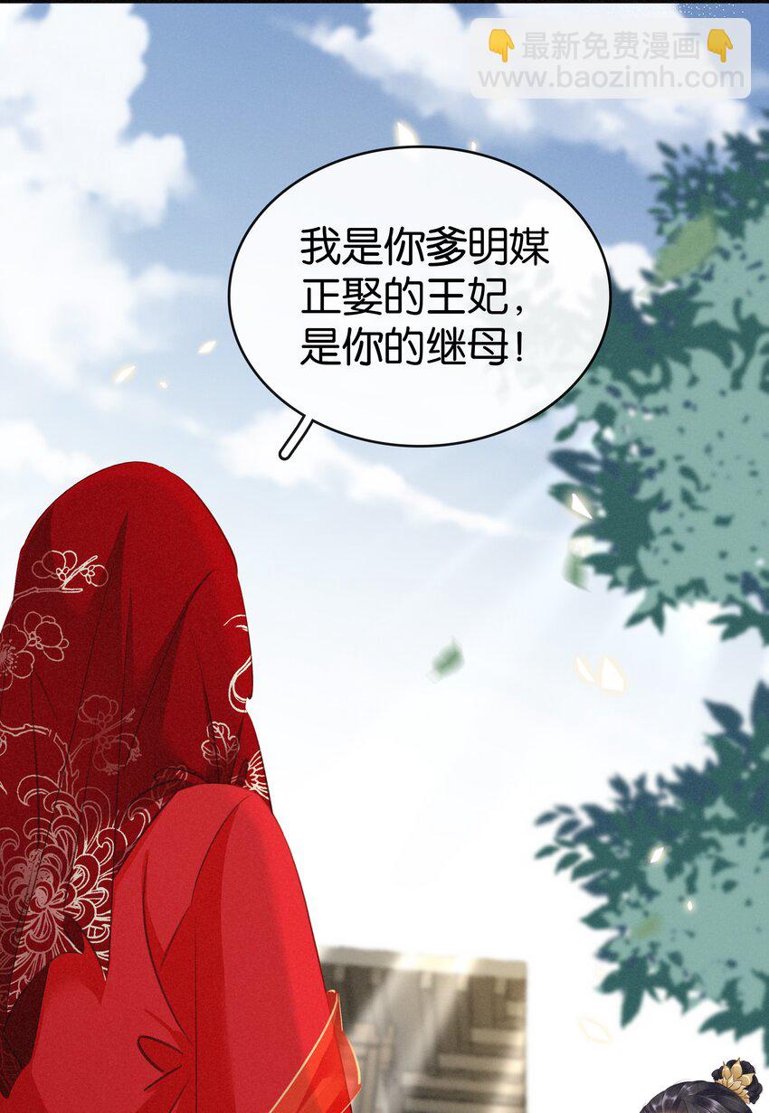 《凰妃倾天下》003 互换花轿 第33页
