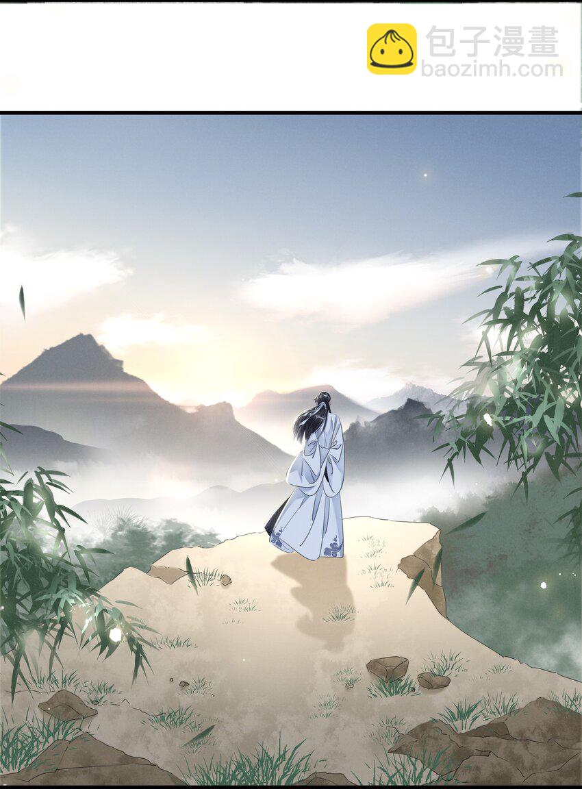 《凰妃倾天下》027 只身涉险 第13页