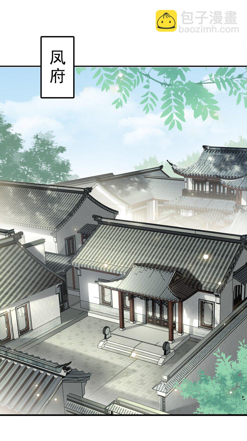 《凰妃倾天下》027 只身涉险 第21页