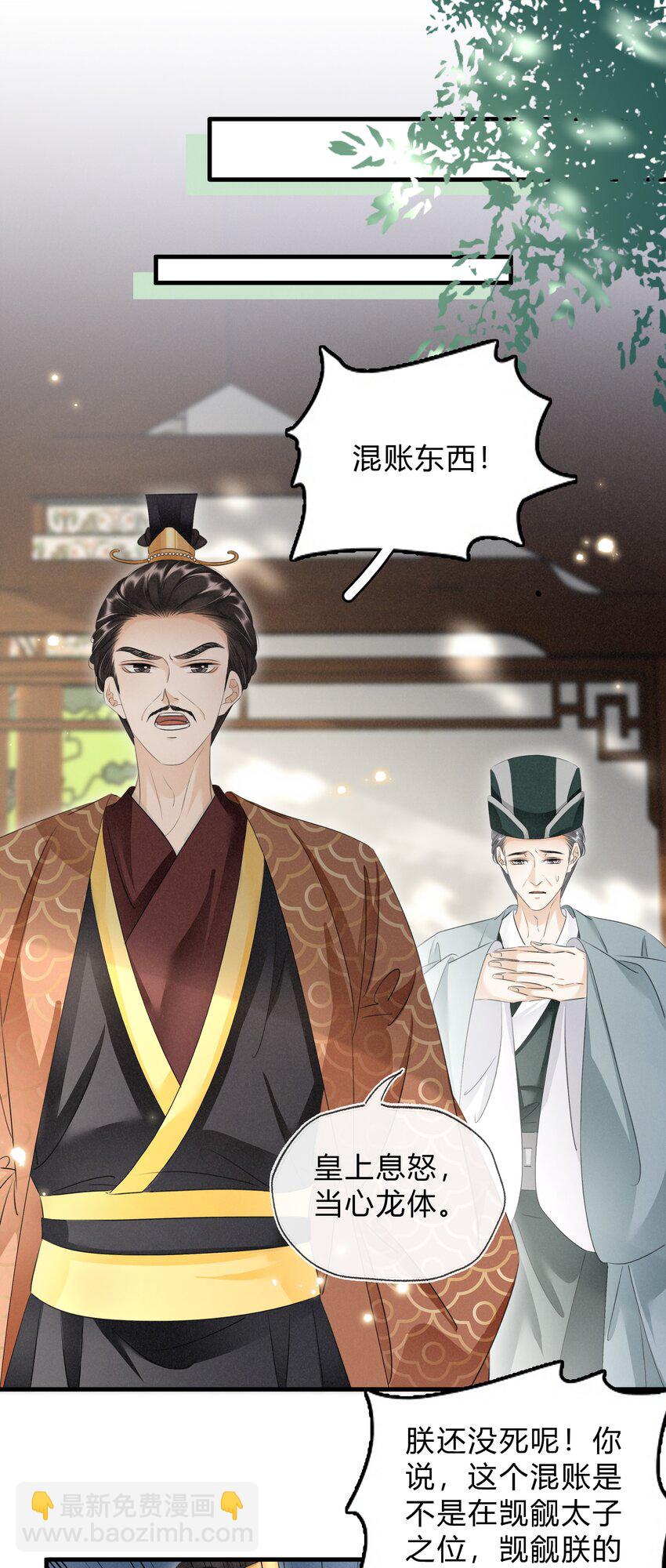 《凰妃倾天下》030 你回来了 第14页