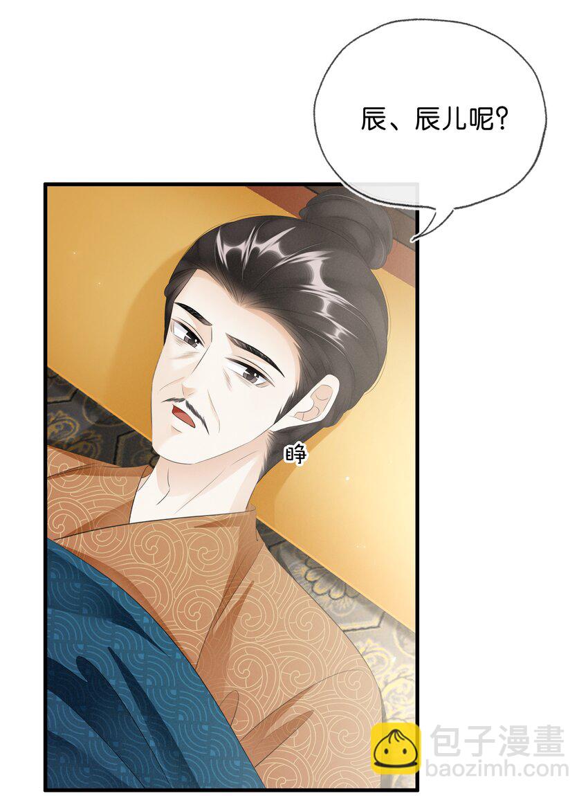 《凰妃倾天下》040 大局初定 第11页
