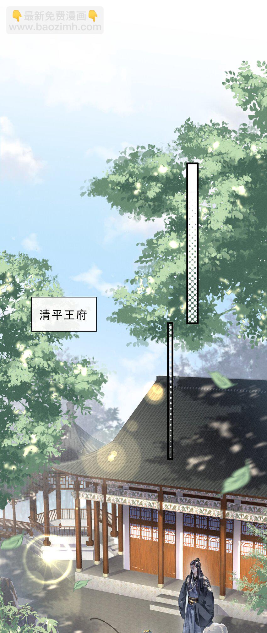 《凰妃倾天下》040 大局初定 第28页