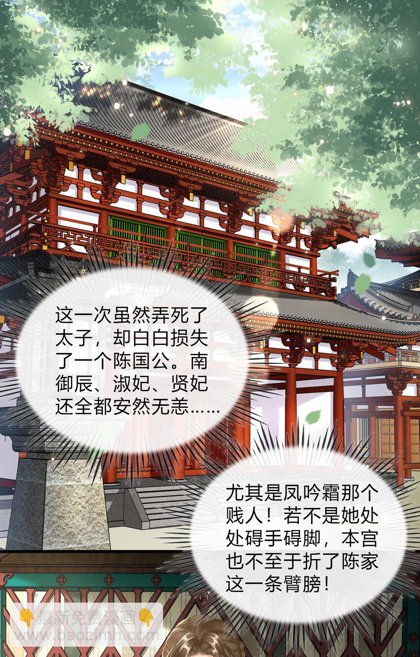 《凰妃倾天下》040 大局初定 第3页