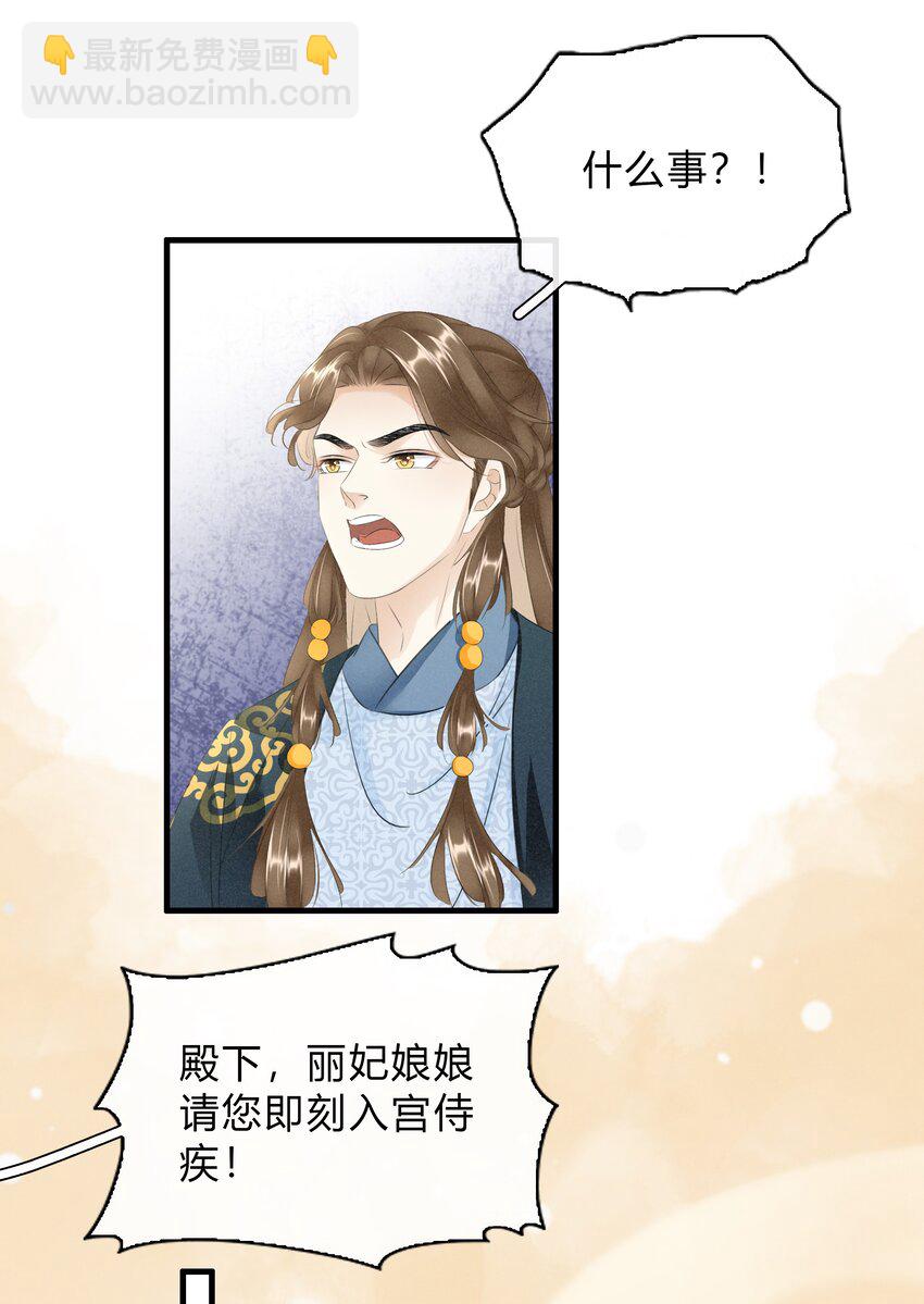《凰妃倾天下》040 大局初定 第5页