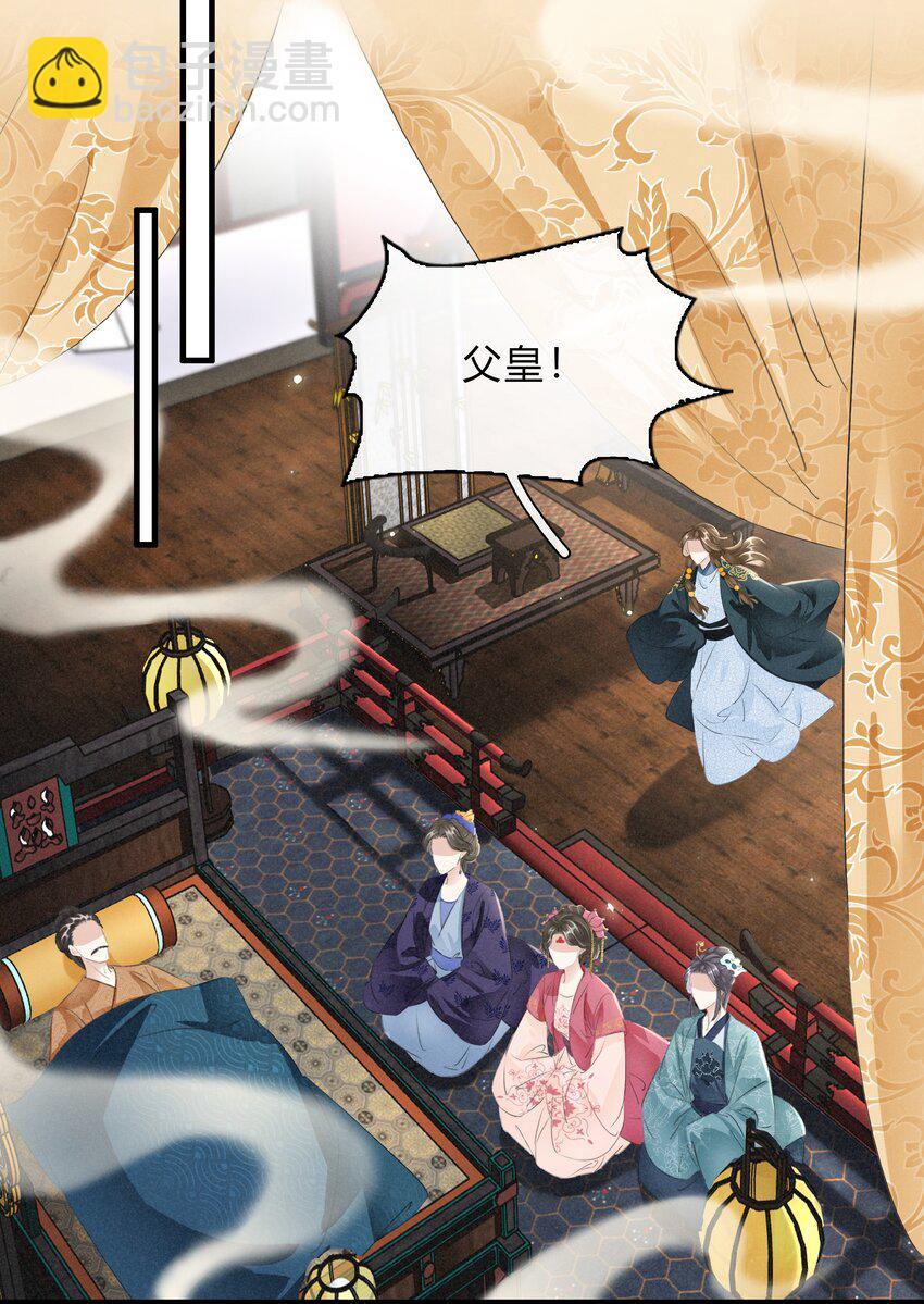 《凰妃倾天下》040 大局初定 第6页