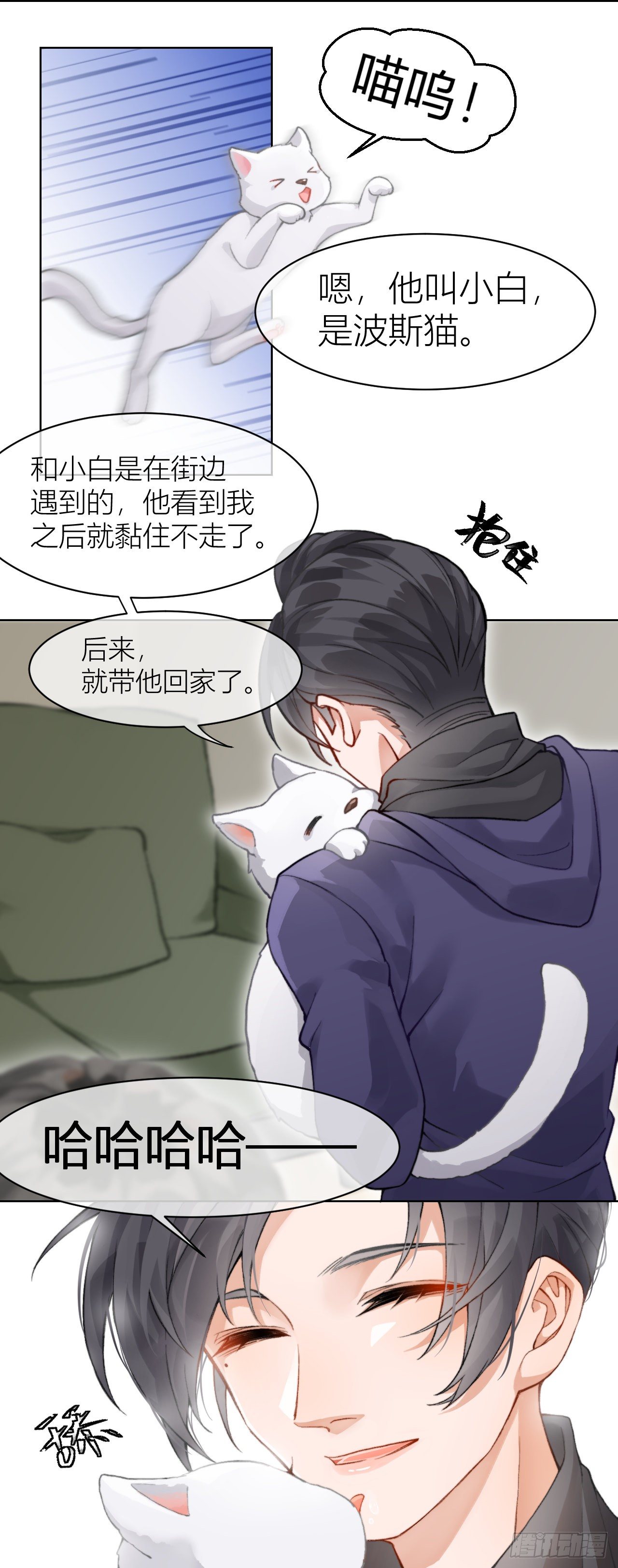 《我家的猫向我告白了！》被遗忘的过去 第3页