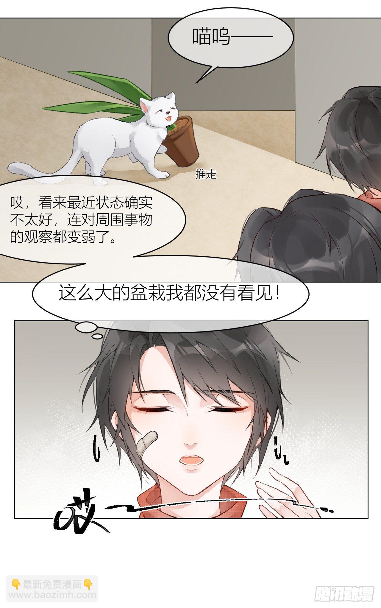 《我家的猫向我告白了！》不要轻信人类啊，小猫咪 第3页