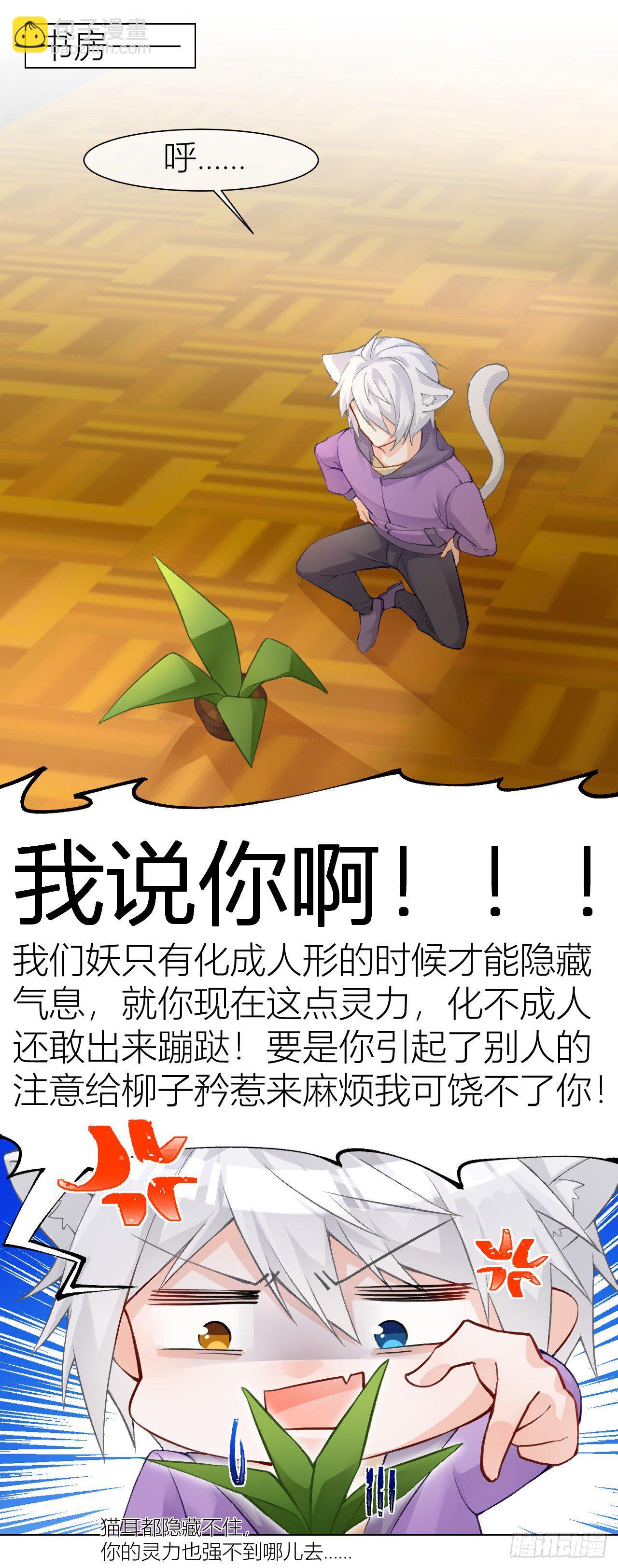 《我家的猫向我告白了！》不要轻信人类啊，小猫咪 第4页