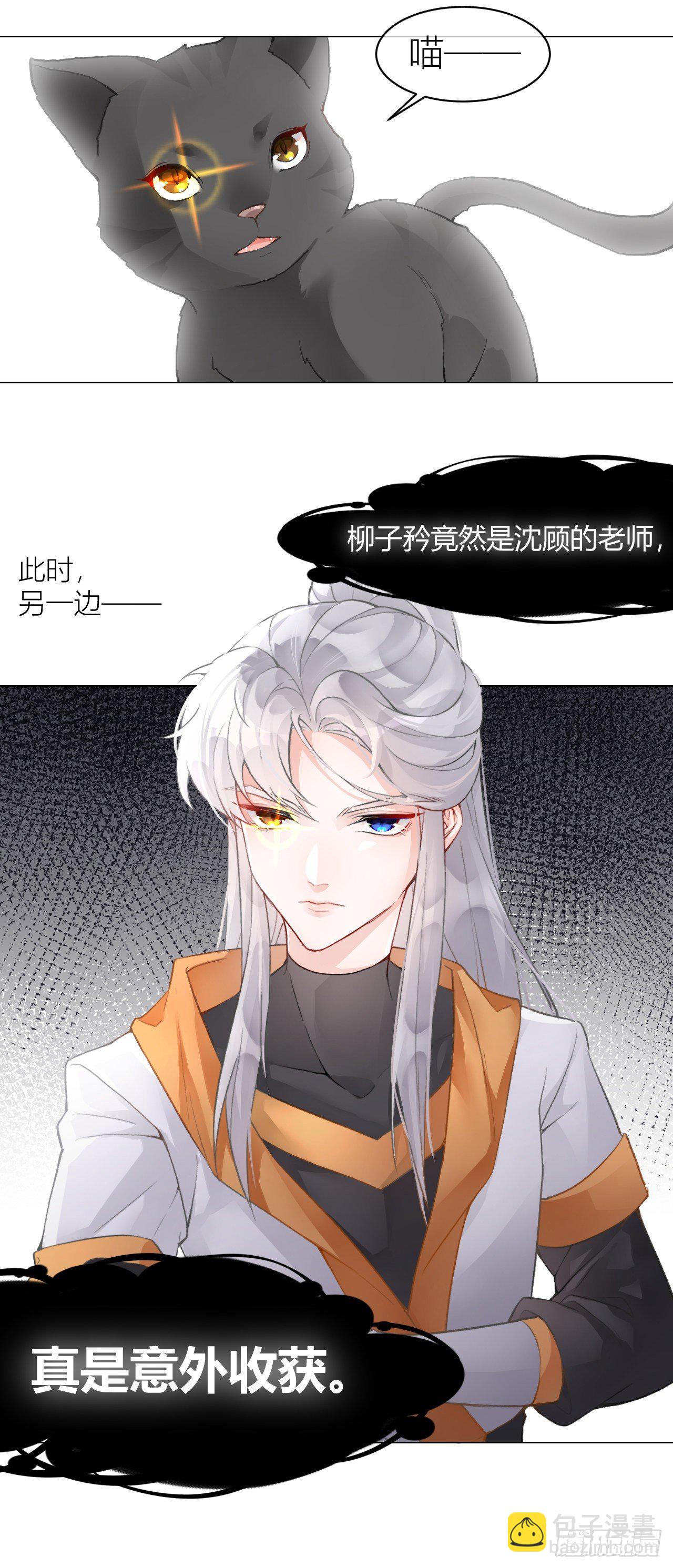 《我家的猫向我告白了！》不要轻信人类啊，小猫咪 第9页