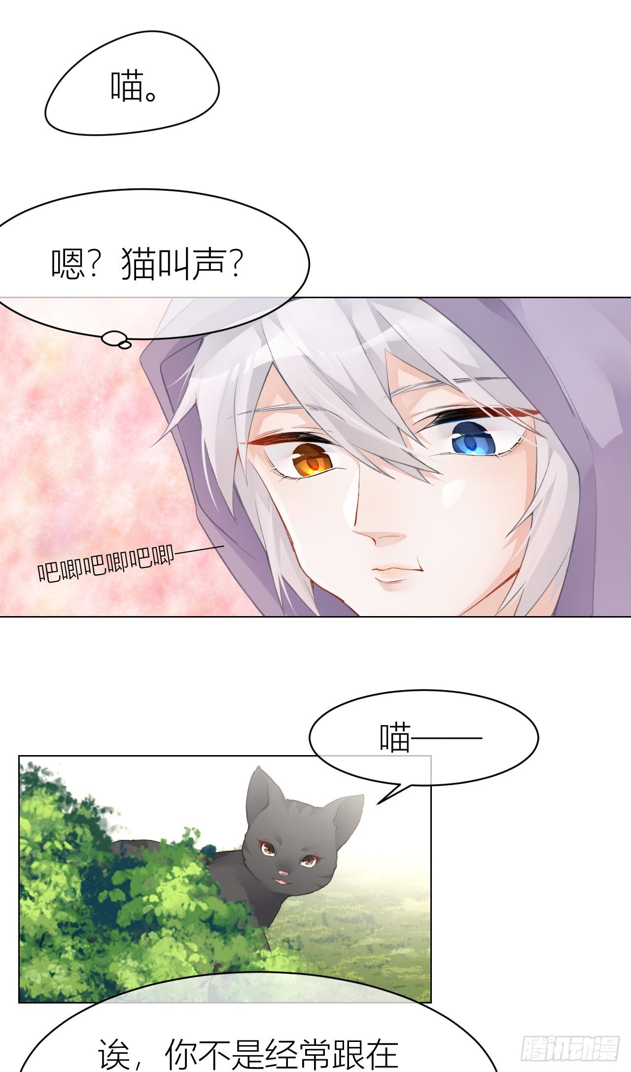《我家的猫向我告白了！》神秘黑猫再次出现！ 第6页
