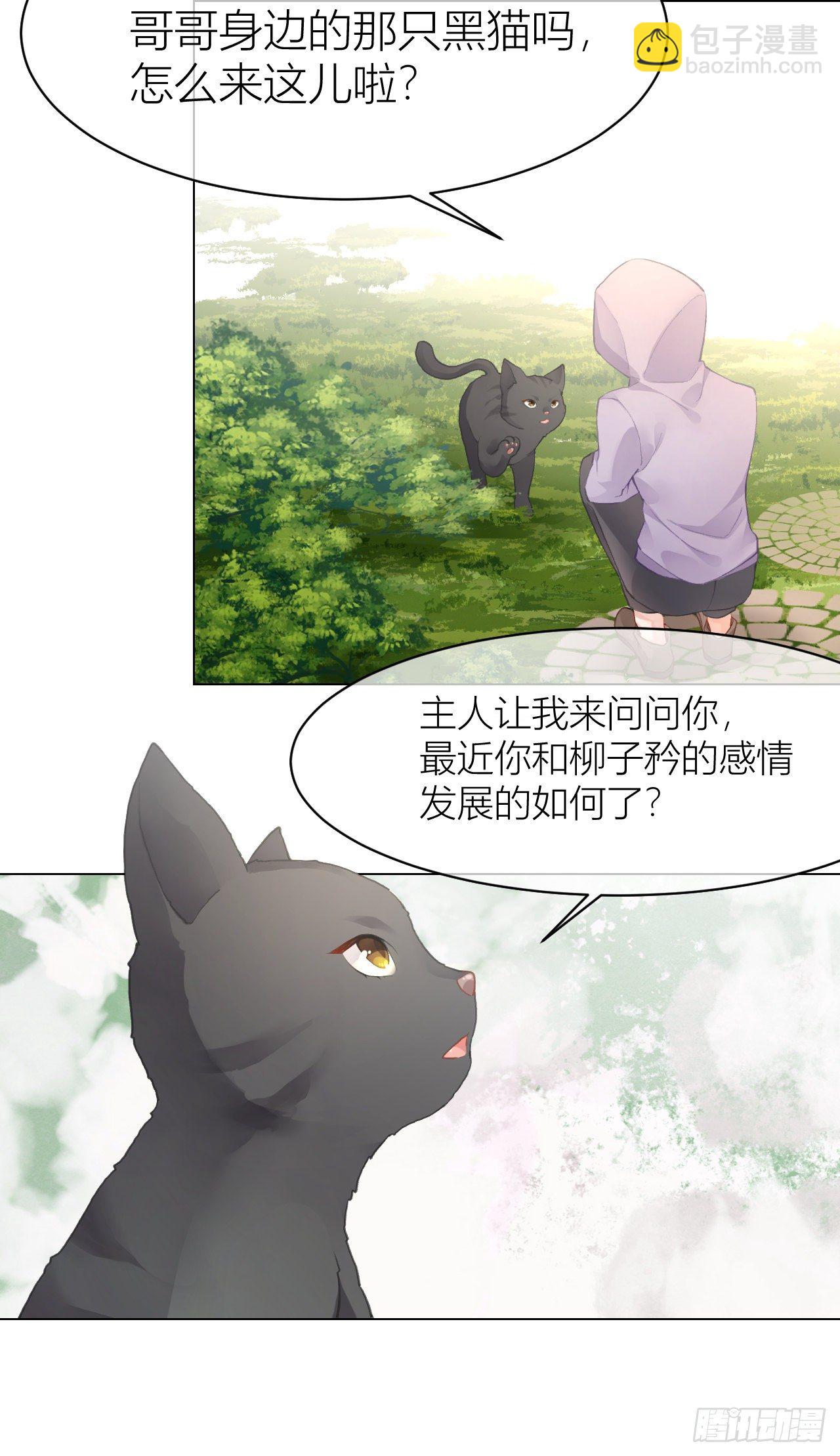 《我家的猫向我告白了！》神秘黑猫再次出现！ 第7页