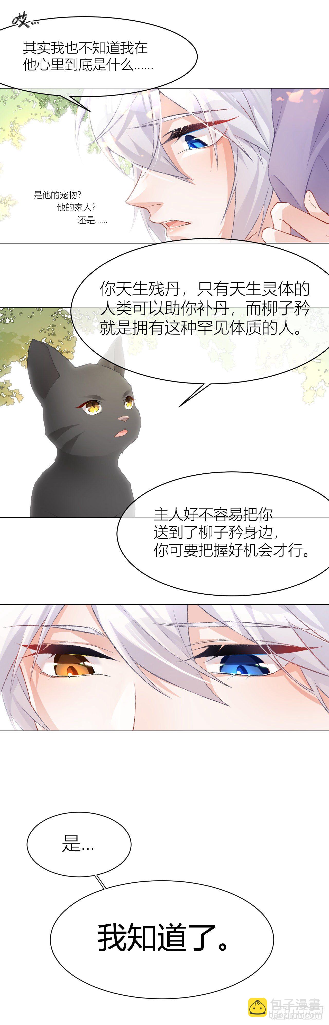《我家的猫向我告白了！》于暗中孕育的仇恨 第3页