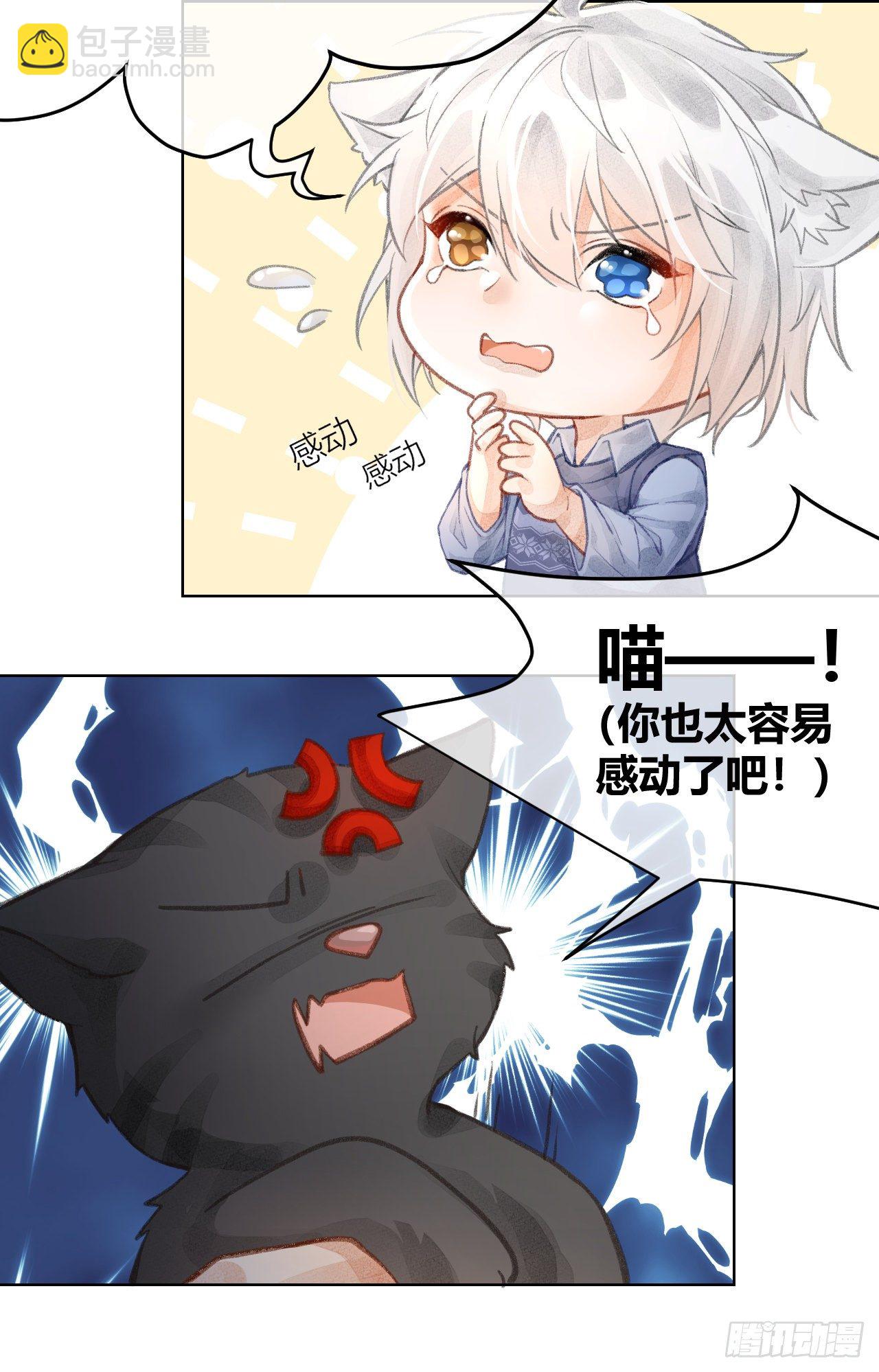 《我家的猫向我告白了！》意料之外的新成员 第4页
